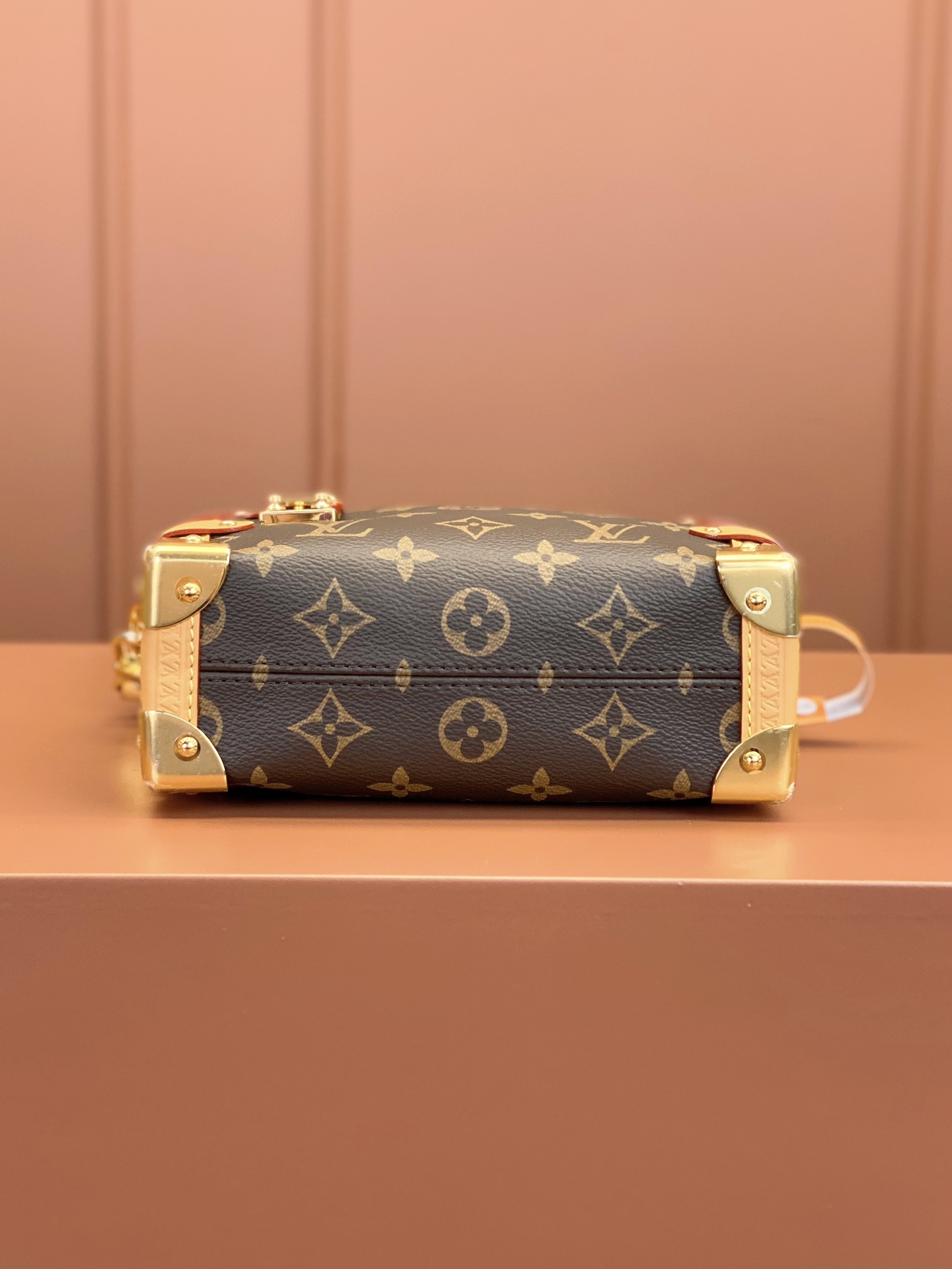 Louis Vuitton SIDE TRUNK MiNi Bag M46815