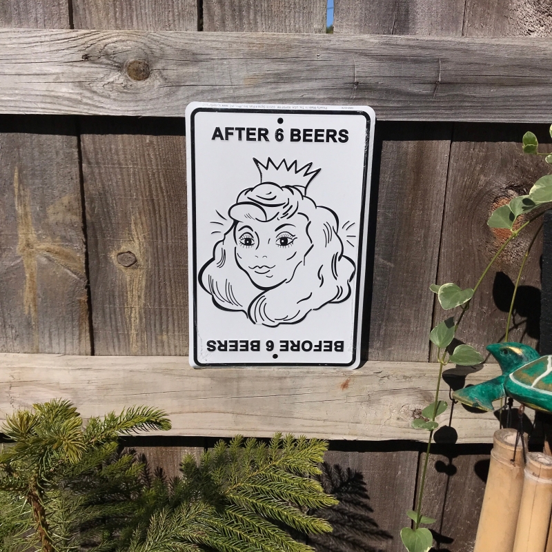On Sale🔥Before/After 6 Beers Funny Aluminum Sign 8x12 in