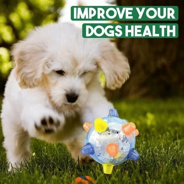 (💥Last Day Promotions-50% OFF)--Upgraded version- Jumping activation ball for dogs and cats--BUY 3 GET 2 FREE & FREE SHIPPING