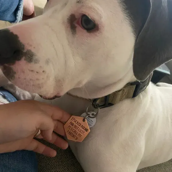 Personalized Funny Pet Tag