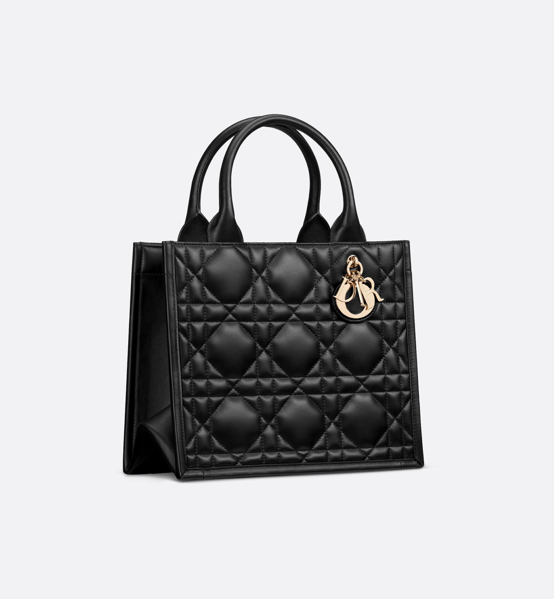 Dior Small Book Tote M1325OWHP_M900