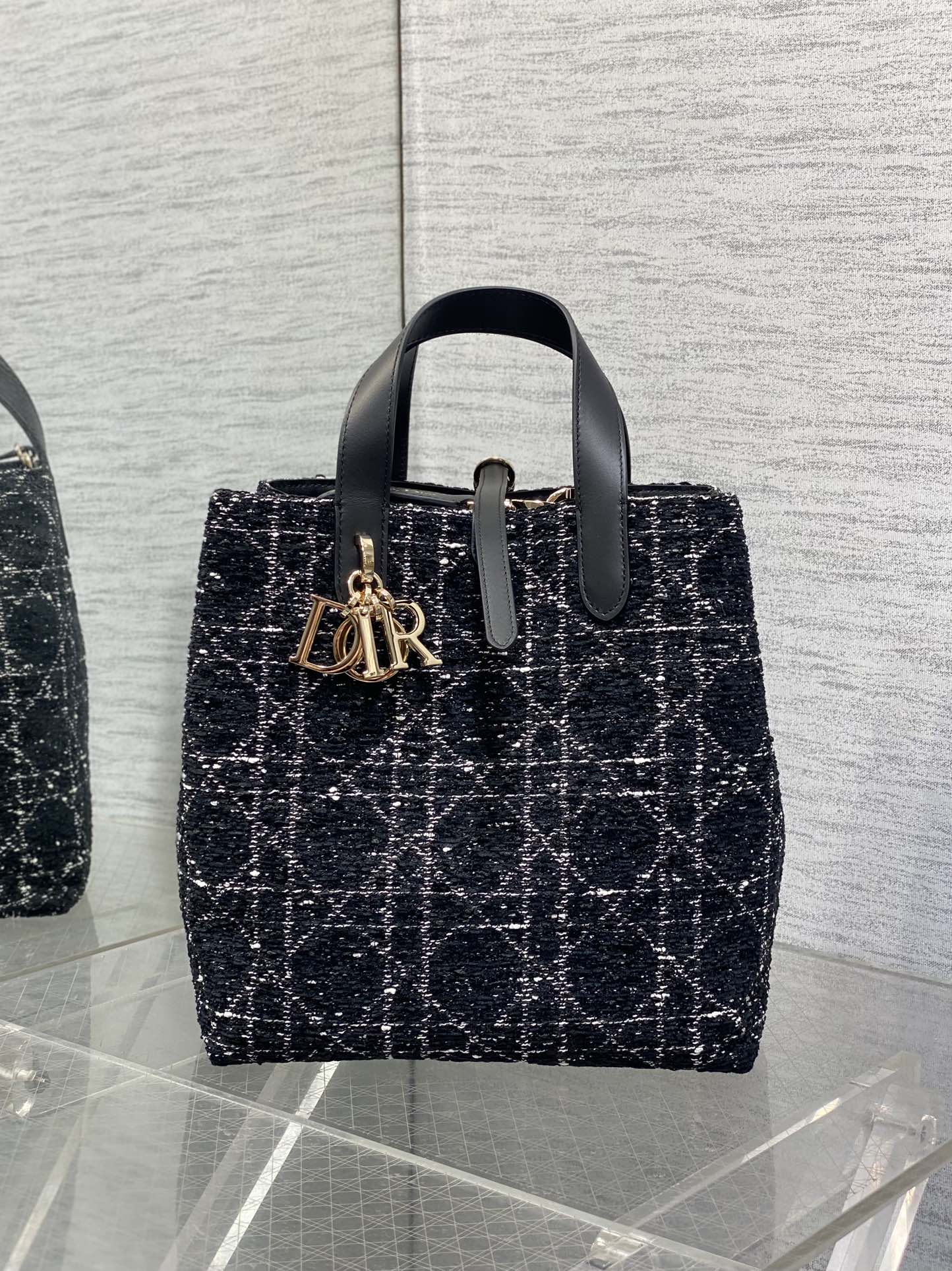 Dior Toujours Vertical Series Medium