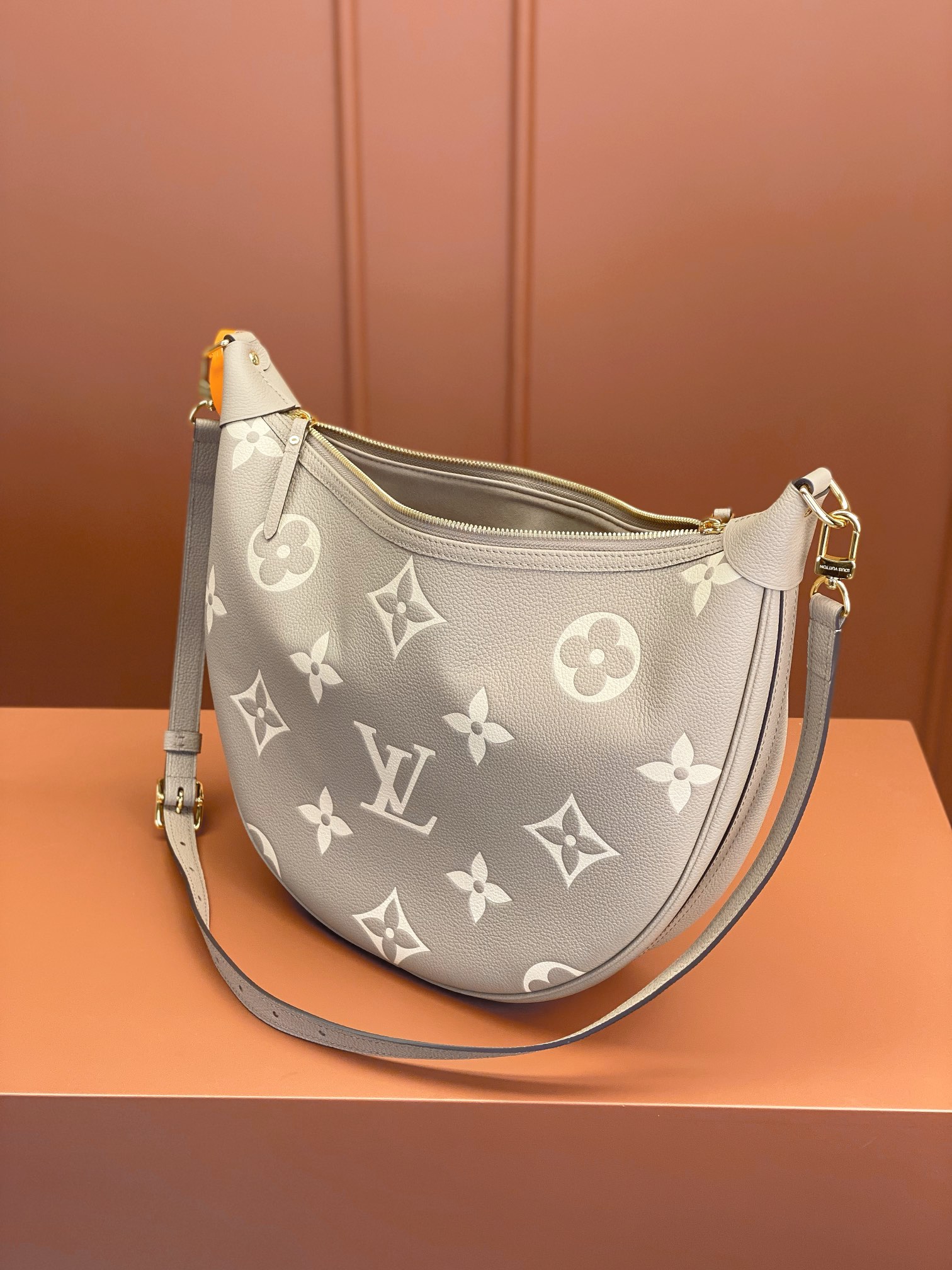 Louis Vuitton LOOP HOBO Handbag M46738