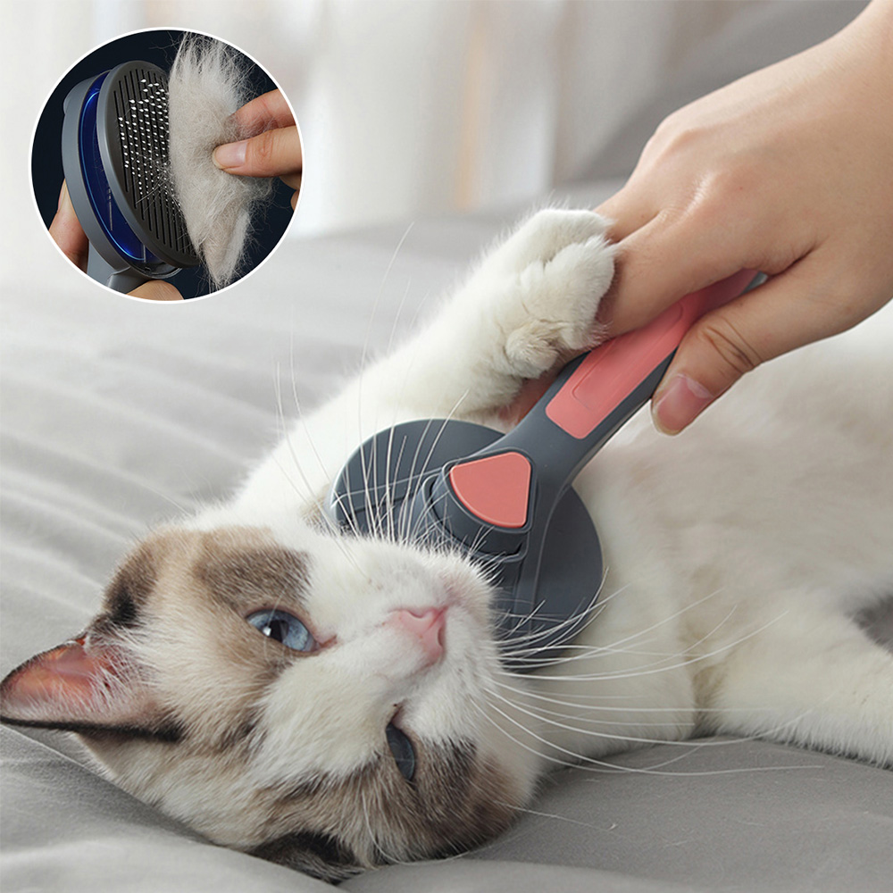 😻Pet Cleaning Slicker Brush (🔥Buy 2 Get 1 Free & Free Shipping)