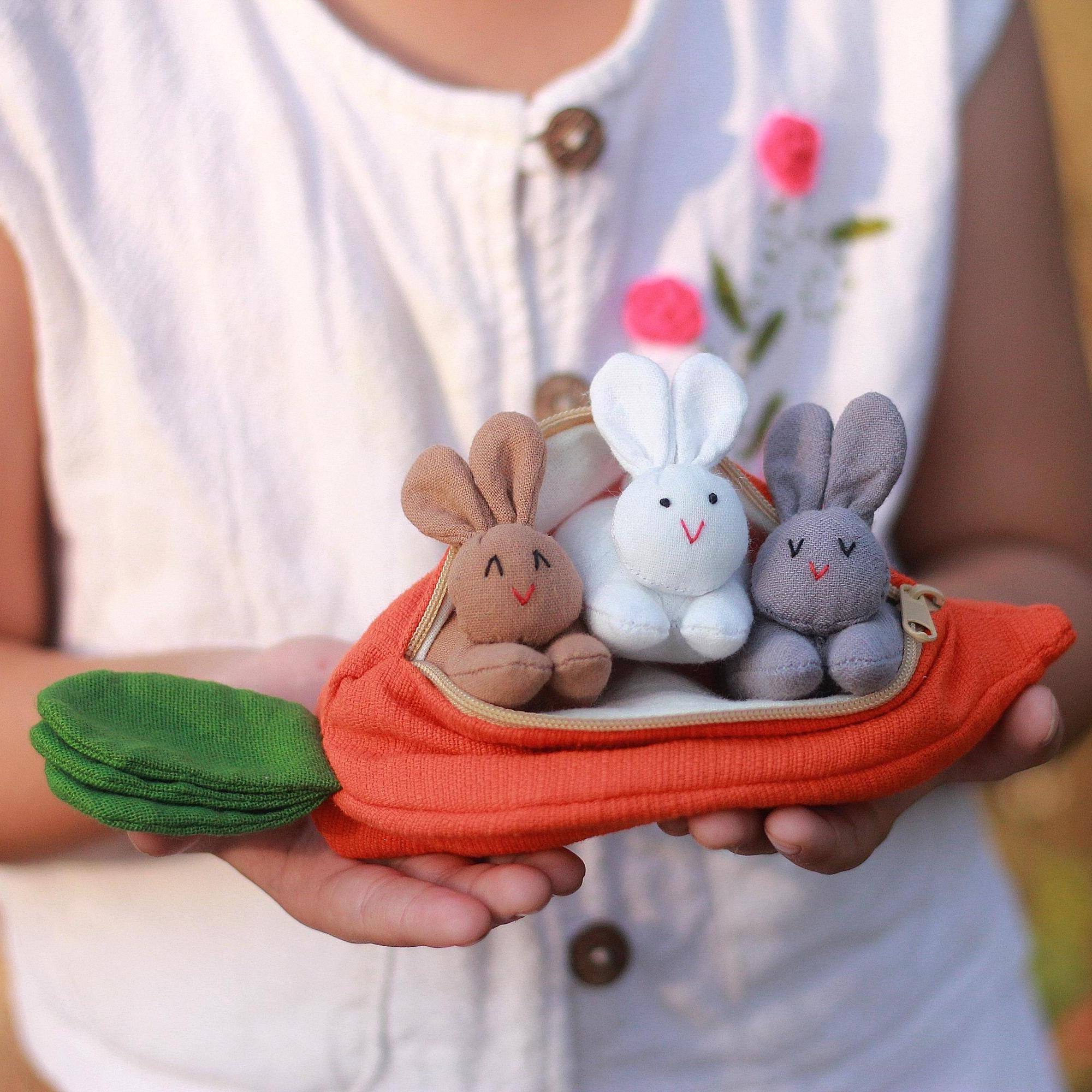 🔥Easter Special🔥-🐰🥕Bunny Carrot Pouch