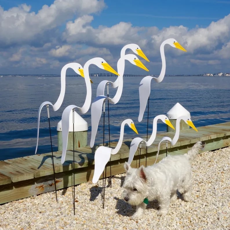 (🔥Last Day Promotion-SAVE 50% OFF)🦩Swirl Bird-a whimsical and dynamic bird that spins with the slight garden breeze💐Buy More Save More