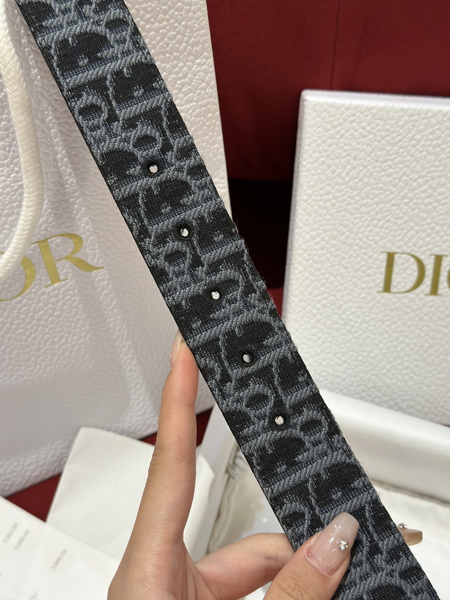Dior CD Buckle Canvas Leather Belt 3.5CM Width
