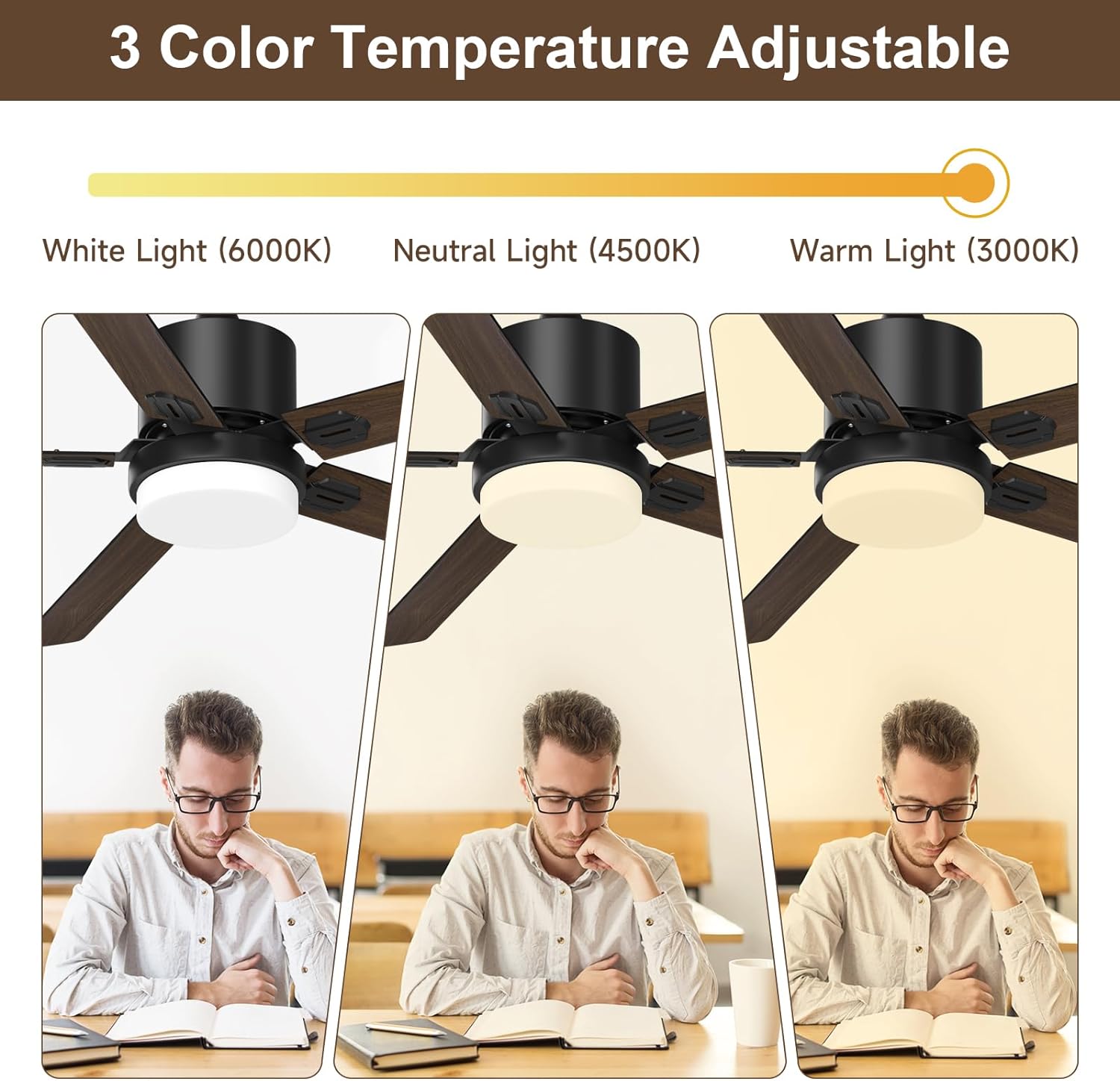 Biukis Ceiling Fans with Lights and Remote Adjustable Light 6 Speed Reversible DC Motor 52 Inch