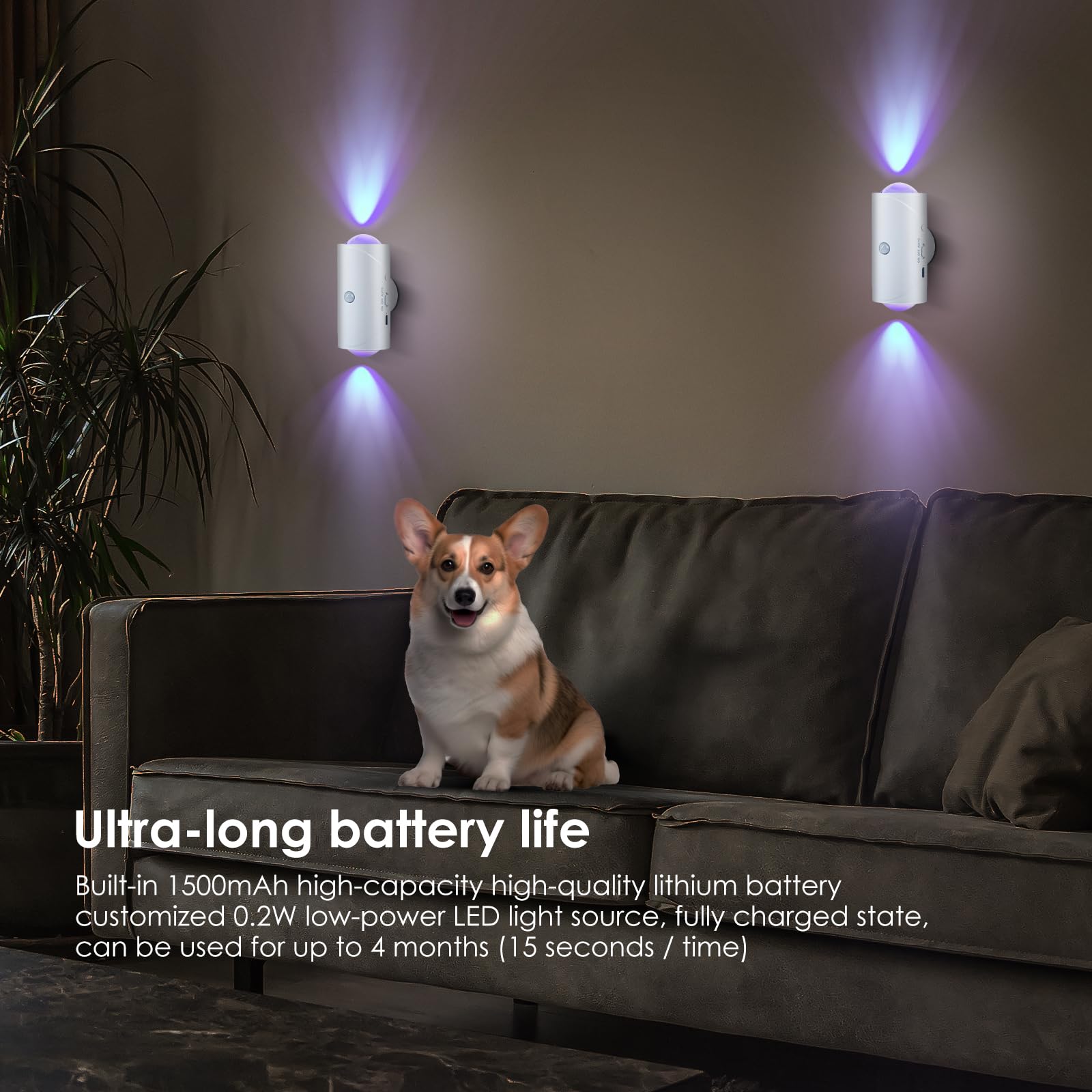 🔥USB Rechargeable LED Night Light with Move Sensor, RGB Gradient Ambient Light