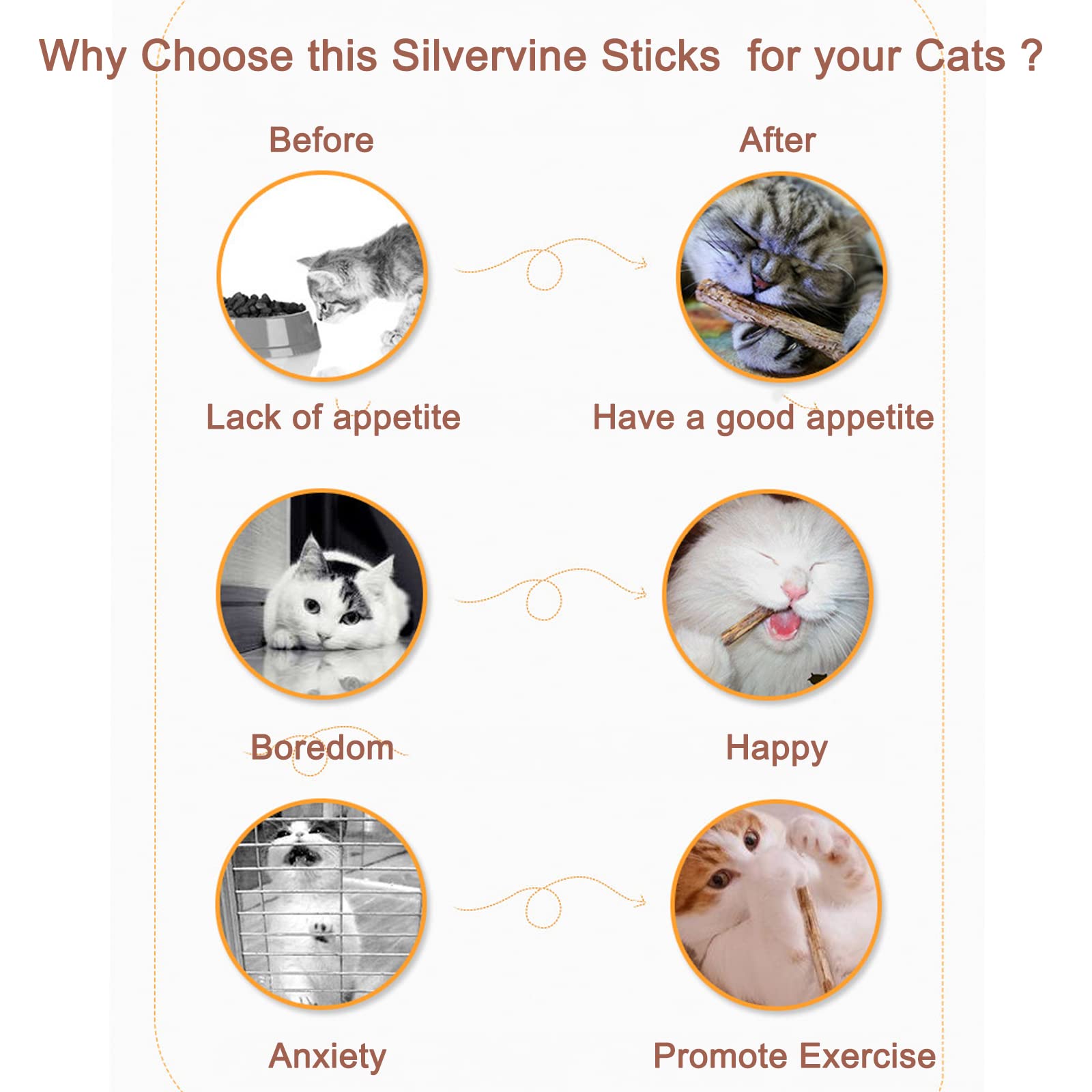 🎅EARLY CHRISTMAS SALE - 48% OFF🎄-😺Silvervine Stick for Cats Chew Toy-BUY 4 GET 4 FREE & FREE SHIPPING