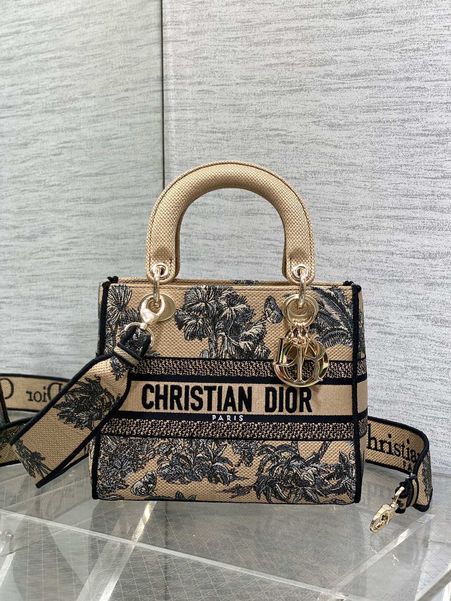 Dior Lady Summer Collection Embroidered Lady Bag