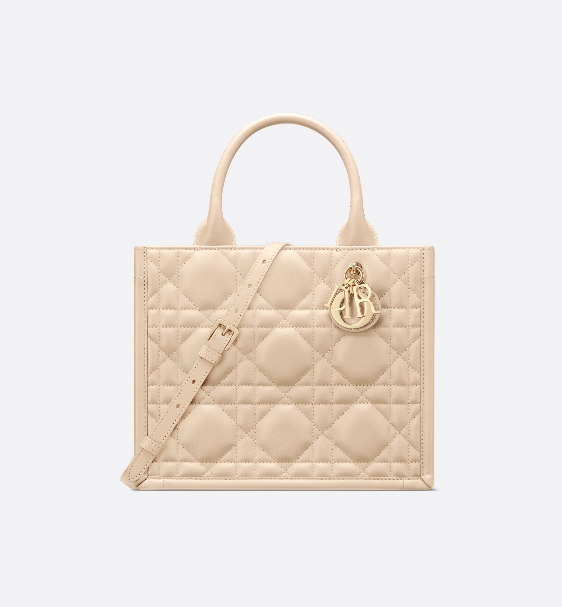 Dior Small Book Tote Bag M1325OWHP_M51U