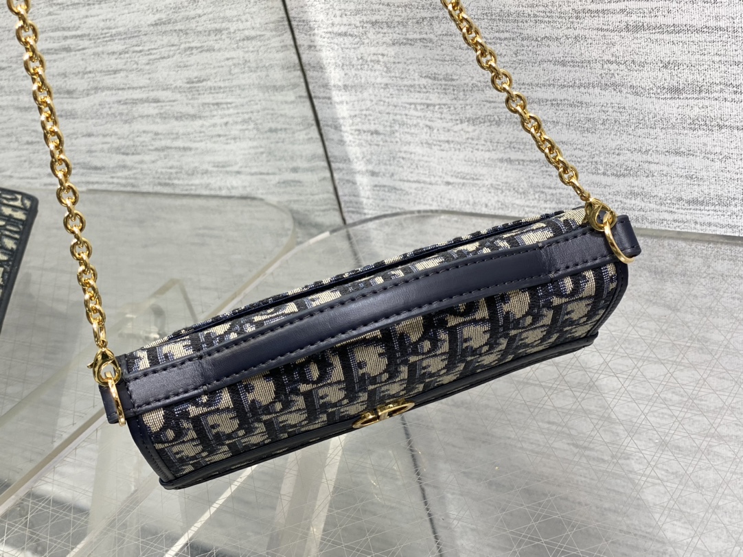 Dior 30 Montaigne Cigale Chain Bag