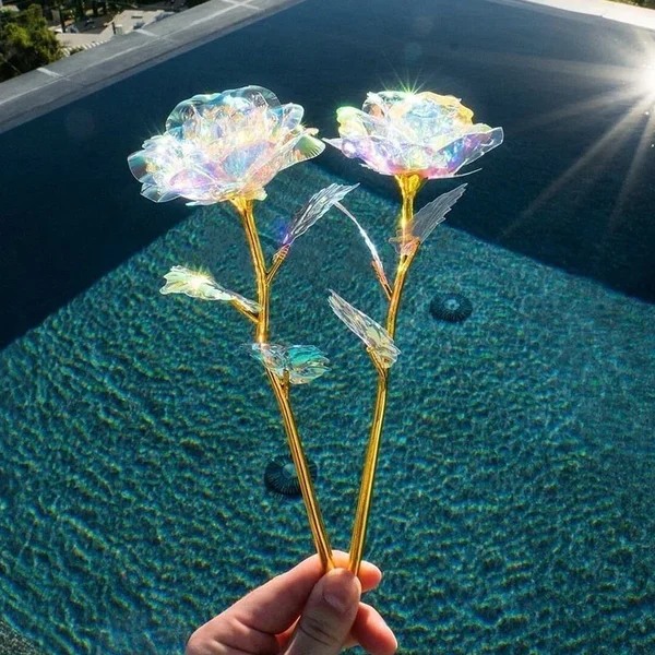 🎁A lovely GIFT! 💐Colorful Crystal Rose（Last day of special sale）