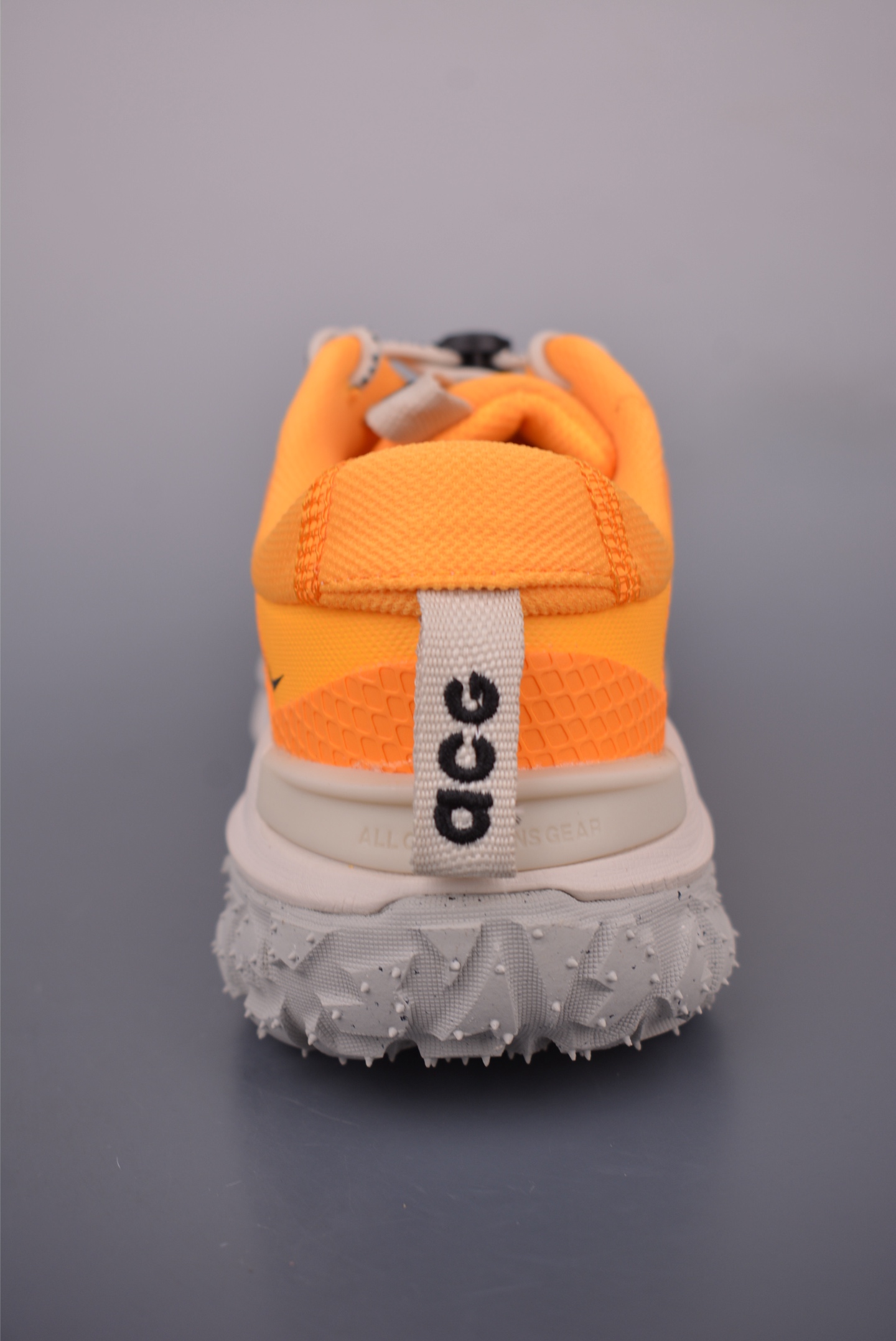 NikeACG MOUNTAIN FLY 2 LOW
