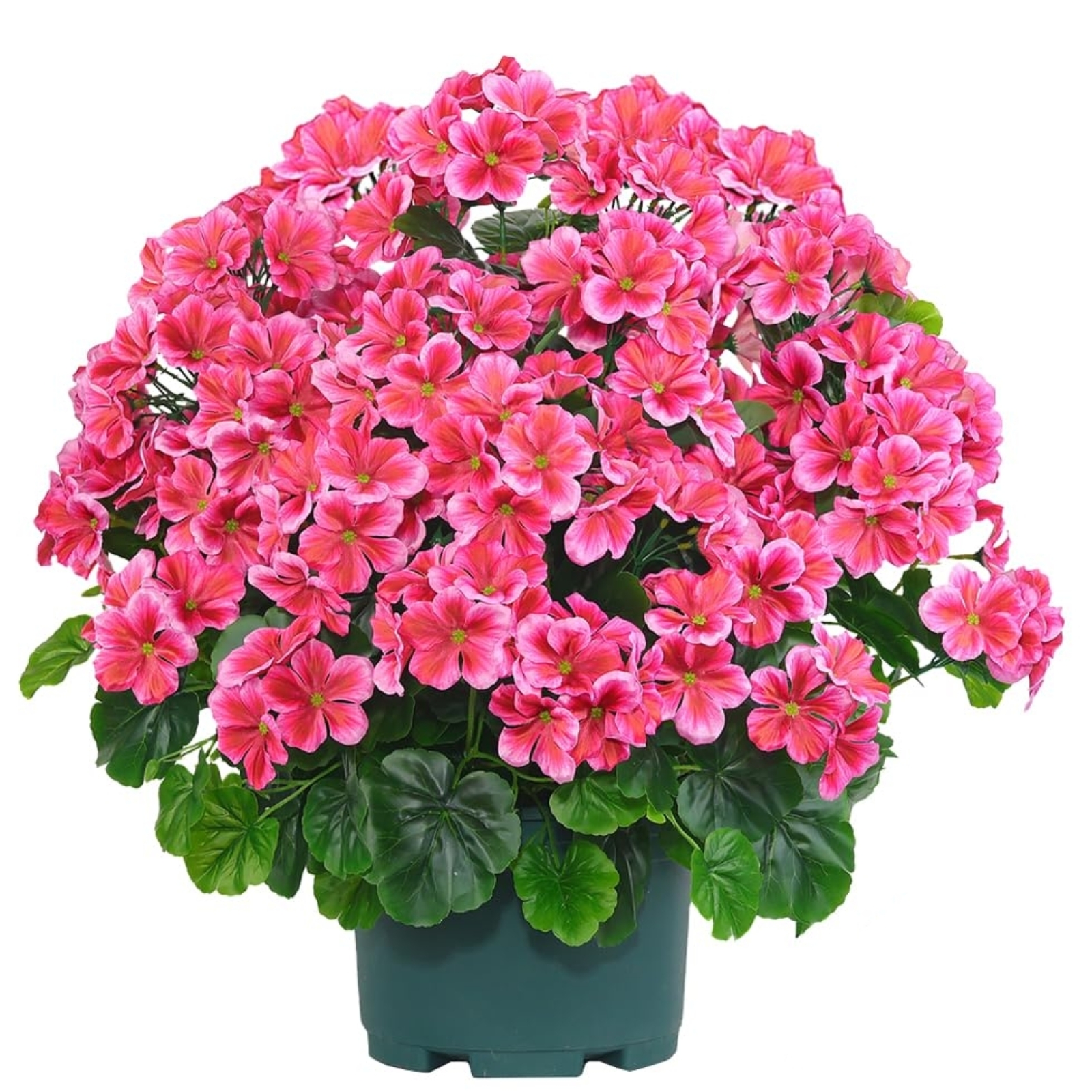 🔥Super Sale - 49% OFF🔥21