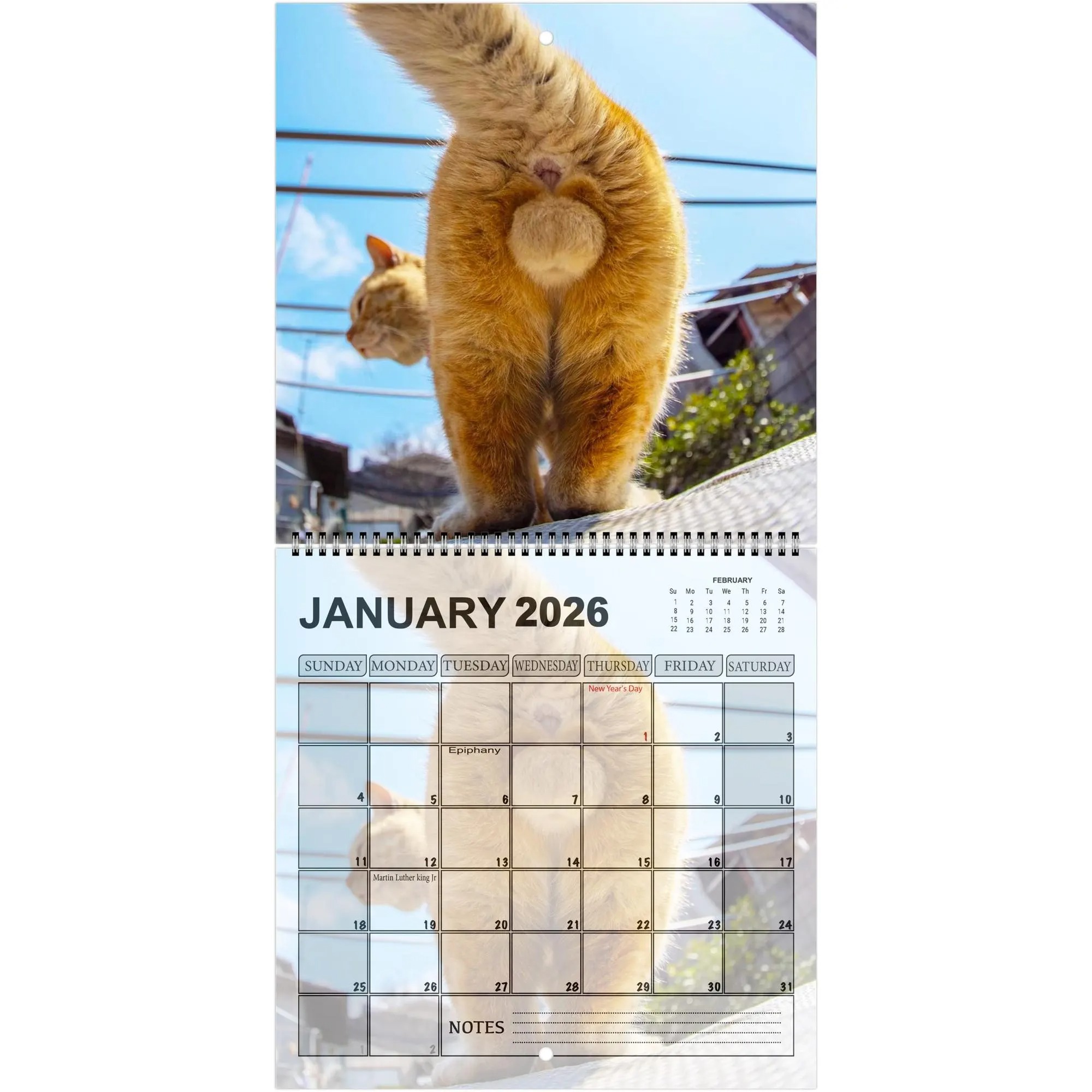 Cats' Buttholes 2026 Calendar: Funny Gag Gift for Cat Lovers