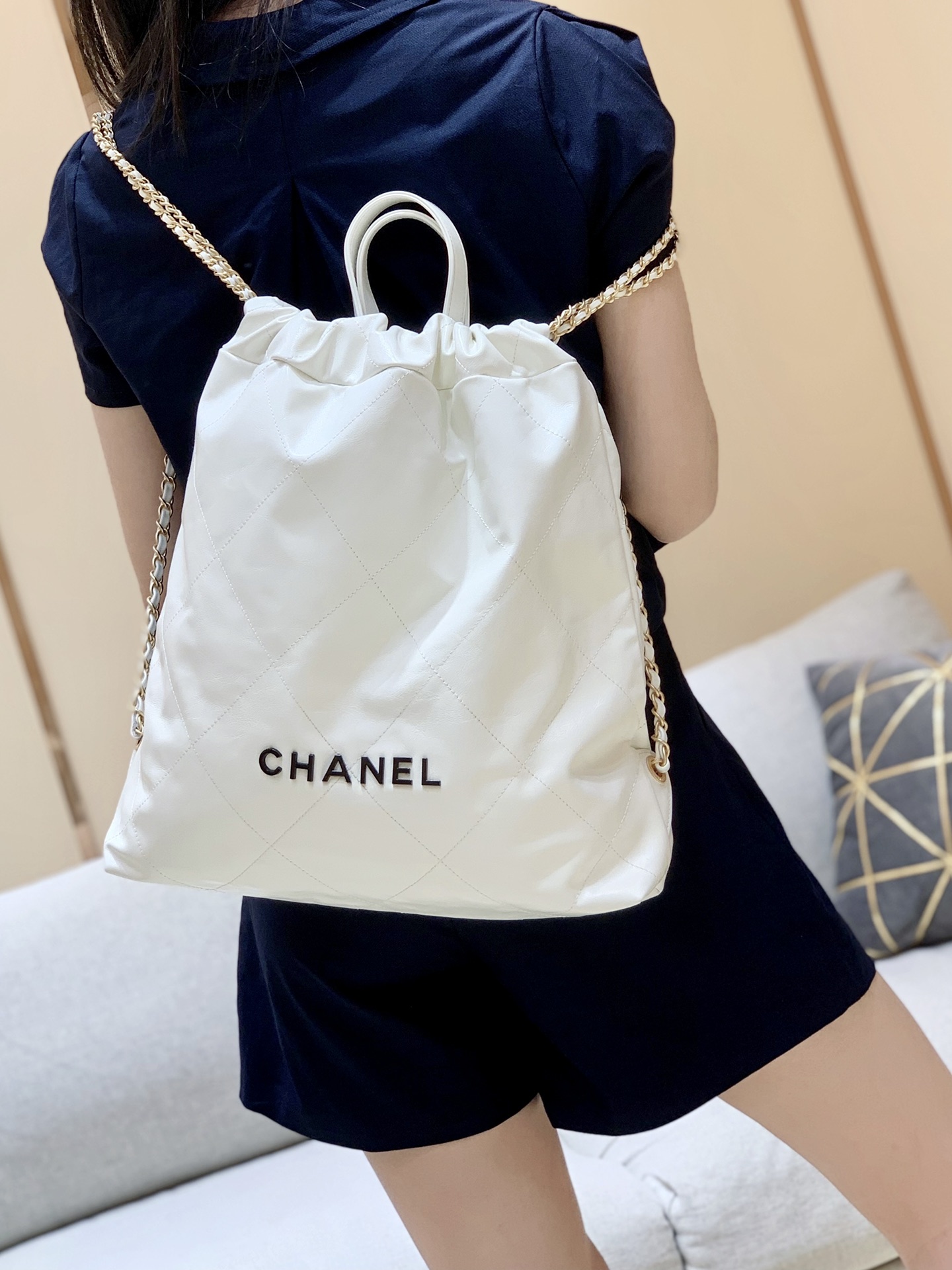 Chanel 2022cc Spring/Summer Collection Handbag AS3313