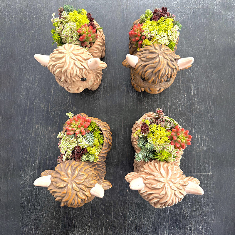 Cute Highland Cow Succulent Planter