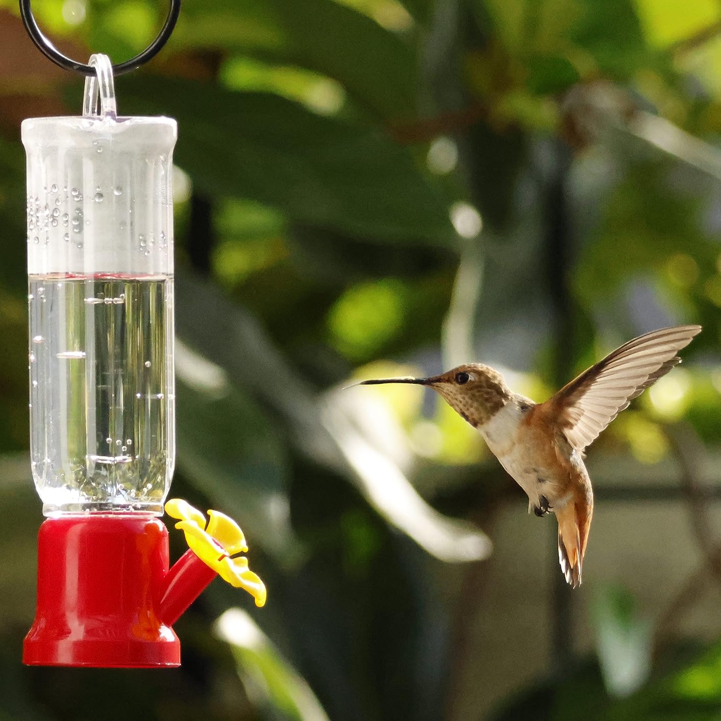 🔥On Sale🔥Mini Hummingbird Feeders