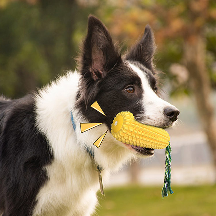 (🔥💥Last Day Promotions-50% OFF)--Chew Corn Stick Toy for Small Meduium Large Breed❤️❤️Buy 2 Get 10% OFF & Free Shipping