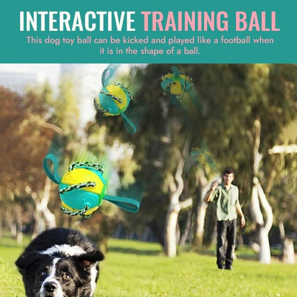 🔥Last Day Promotion-[SAVE 50% OFF]--Pet Toy Flying Saucer Chew Ball--BUY 2 GET 10% OFF & FREE SHIPPING