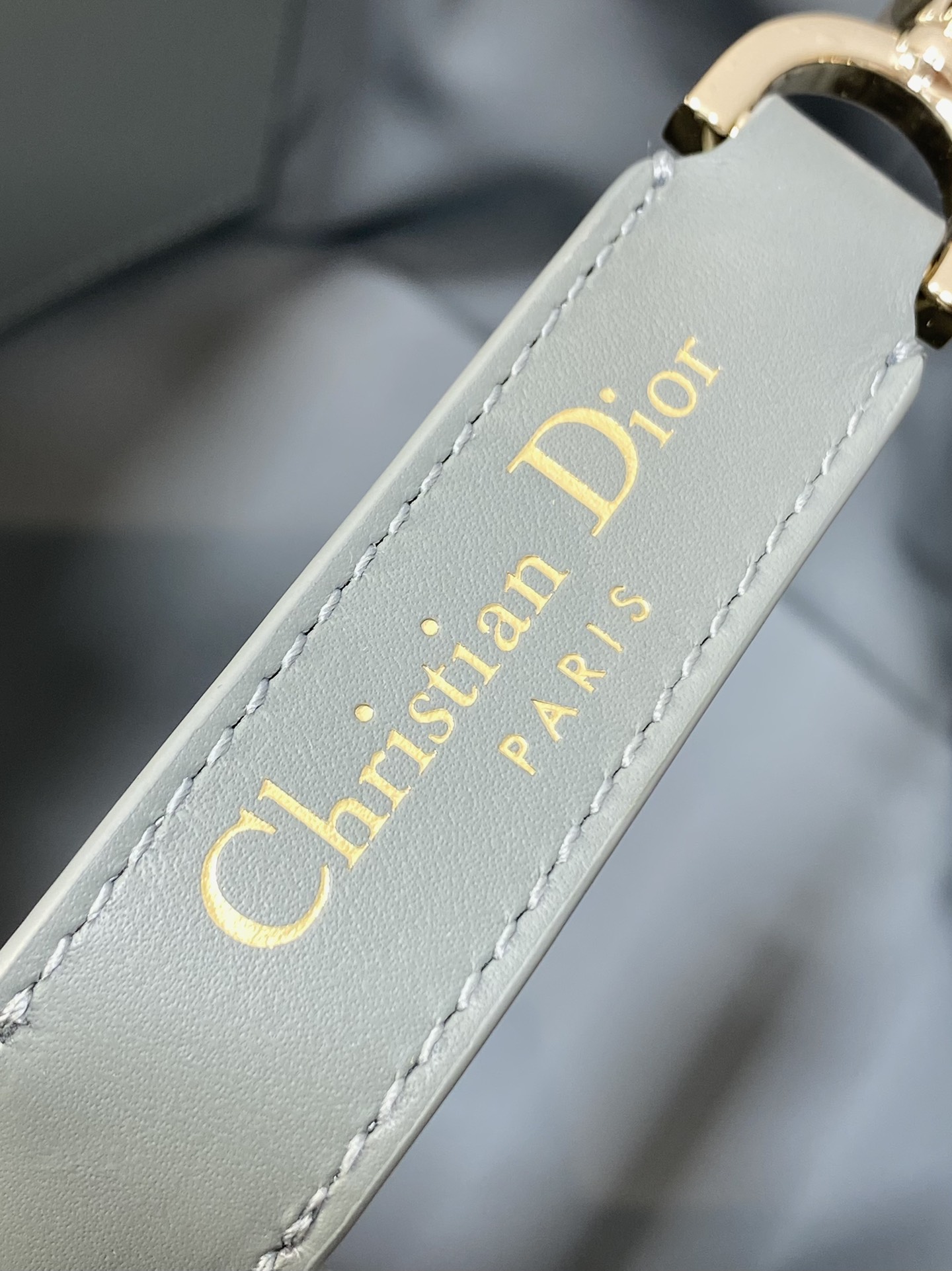 Dior Toujours Vertical Series Medium