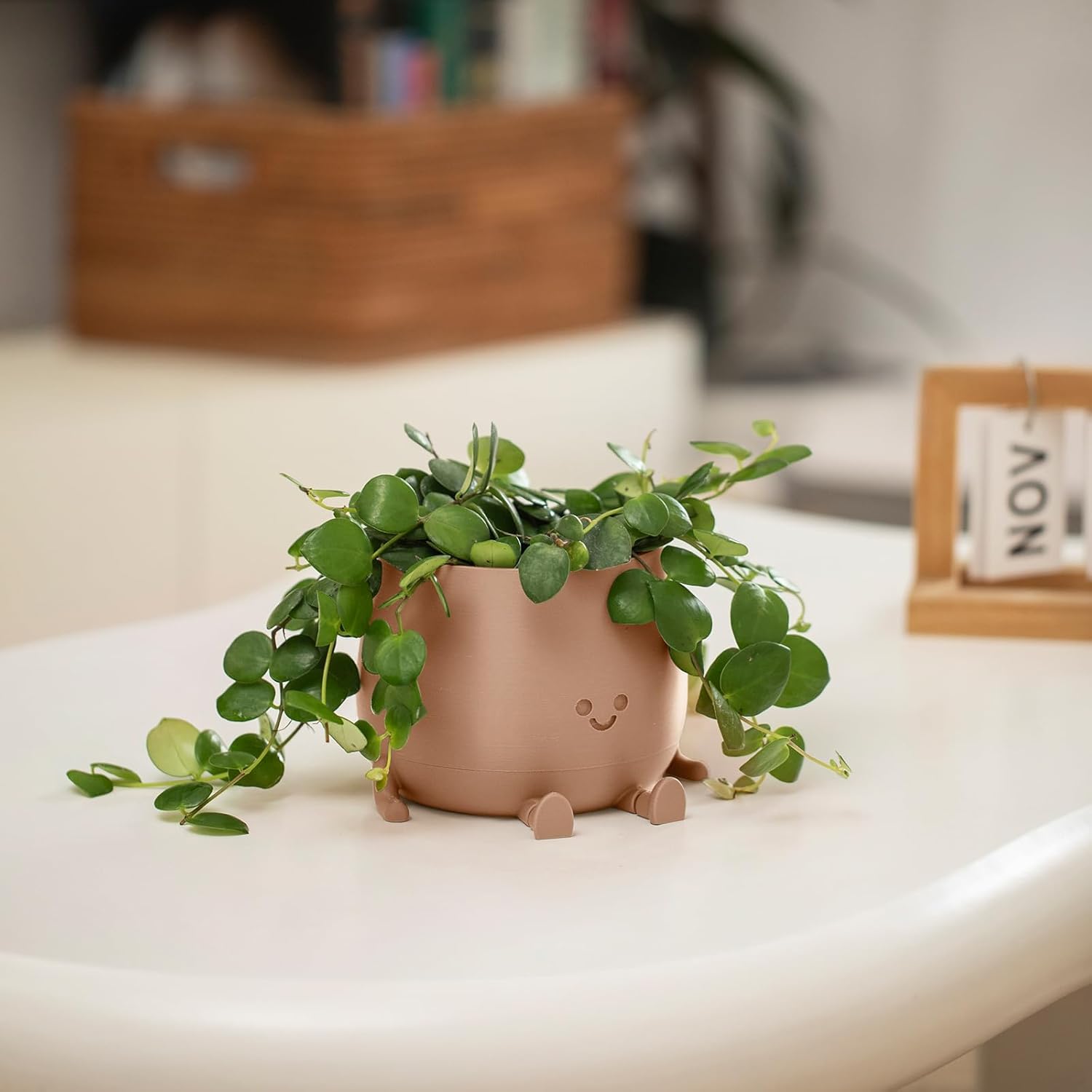 🔥ON SALE ALERT!🔥Happy Face Planter Self Watering Plant Pot with Drainage Holes