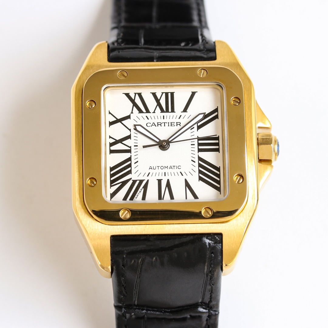 CARTIER Santos Series