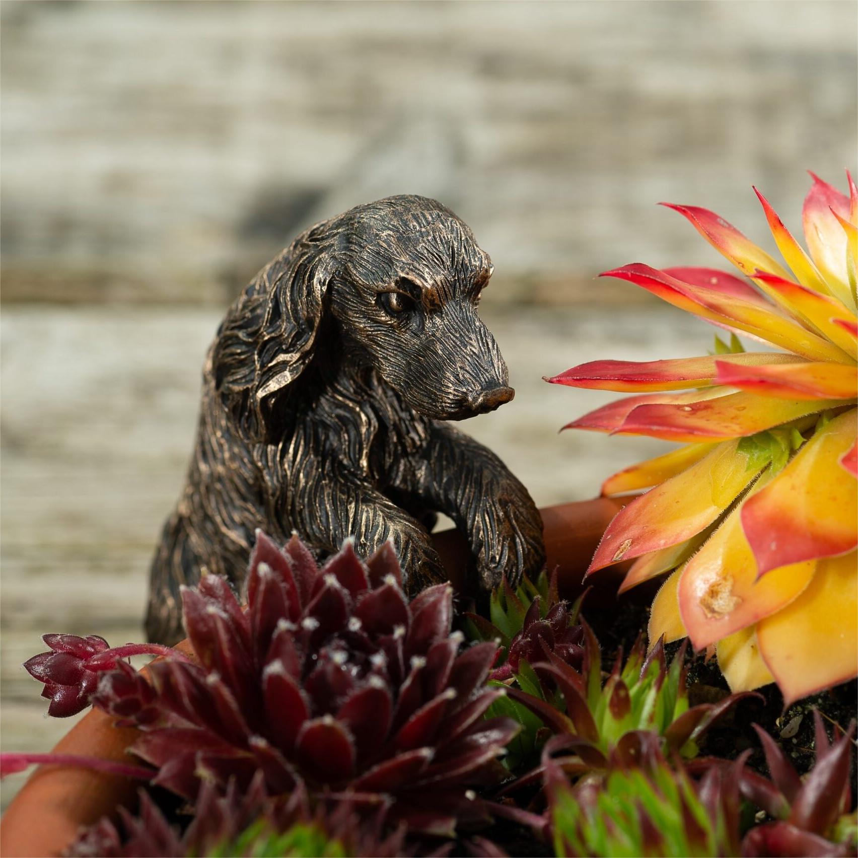Mini Critter Plant Pot Buddy | Add whimsy to your space