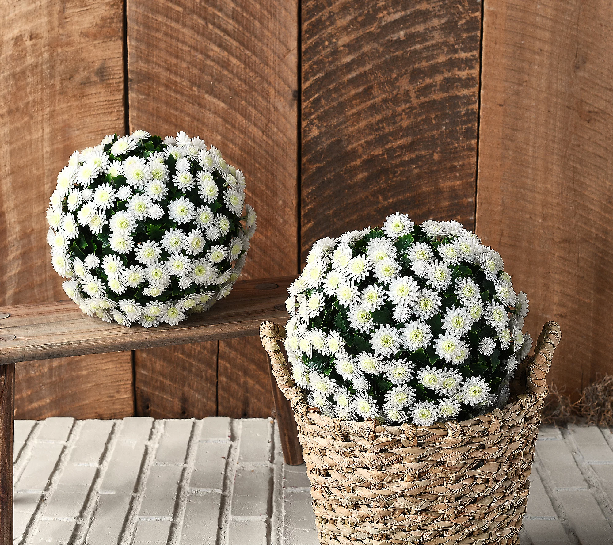 Faux Mum Indoor/Outdoor Garden Spheres, 1 Mum Sphere (2 Halves) , UV Protection, Waterproof, Windproof