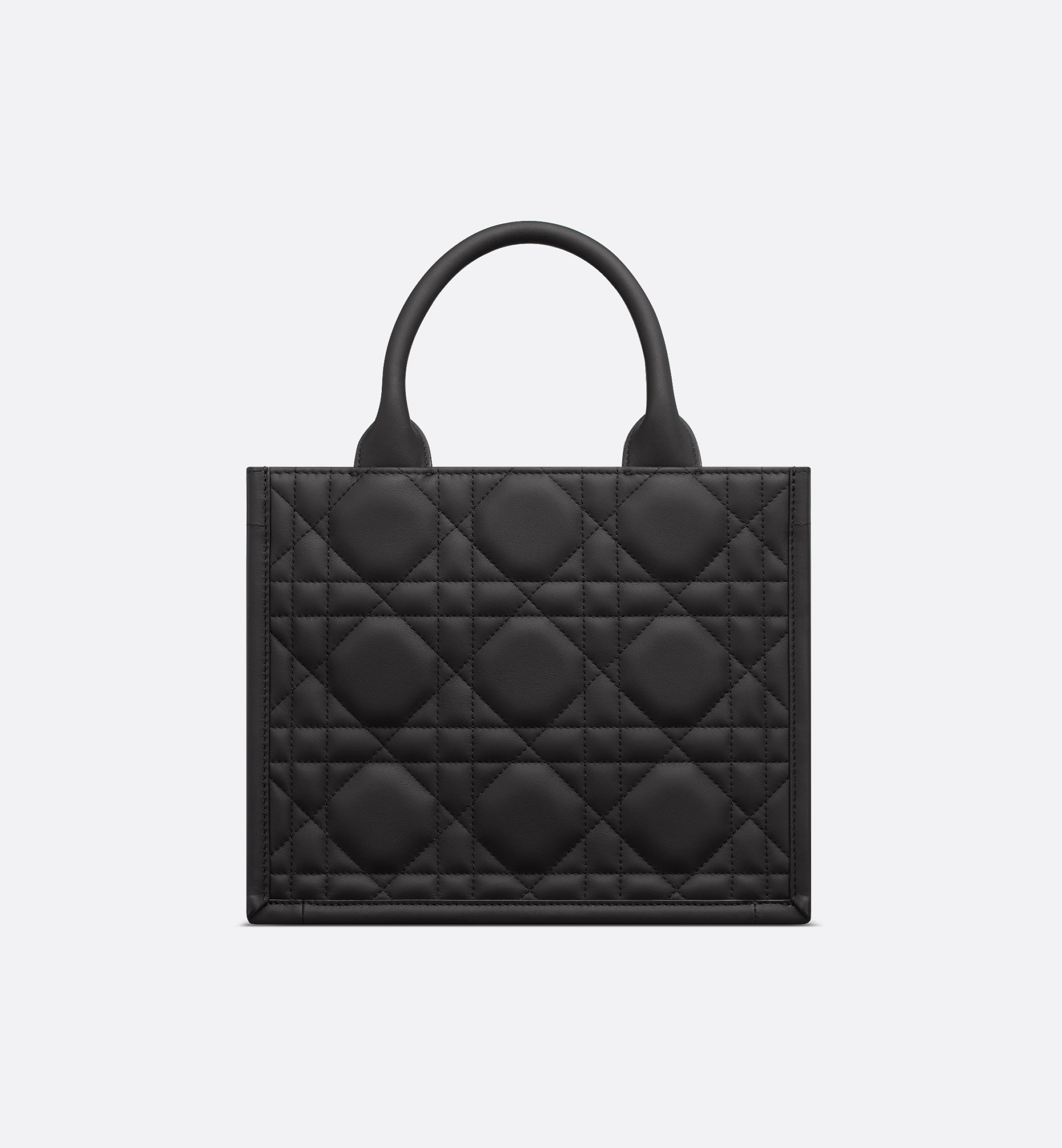 Dior Small Book Tote M1325SLOI_M900