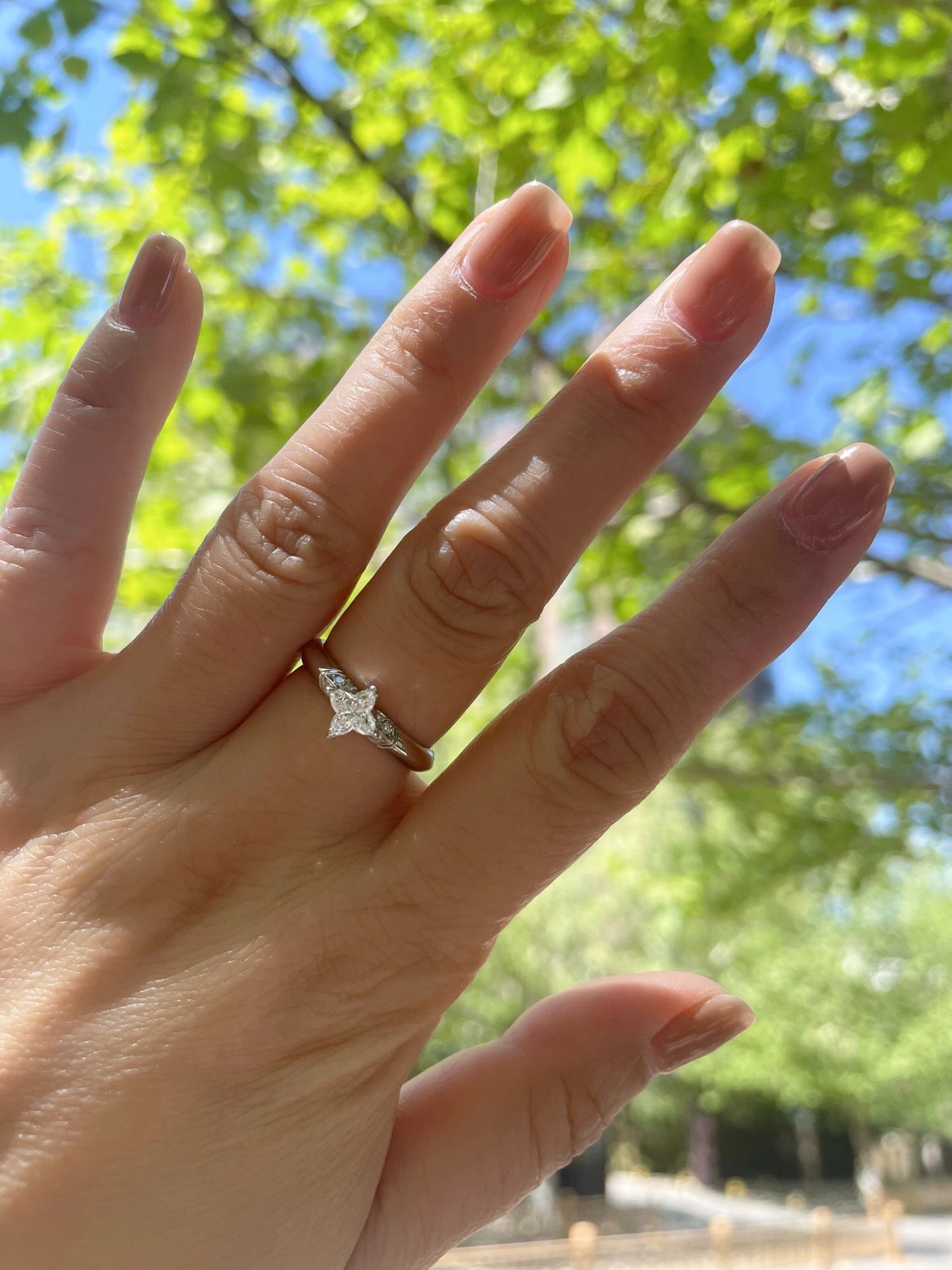 Louis Vuitton cut star ring