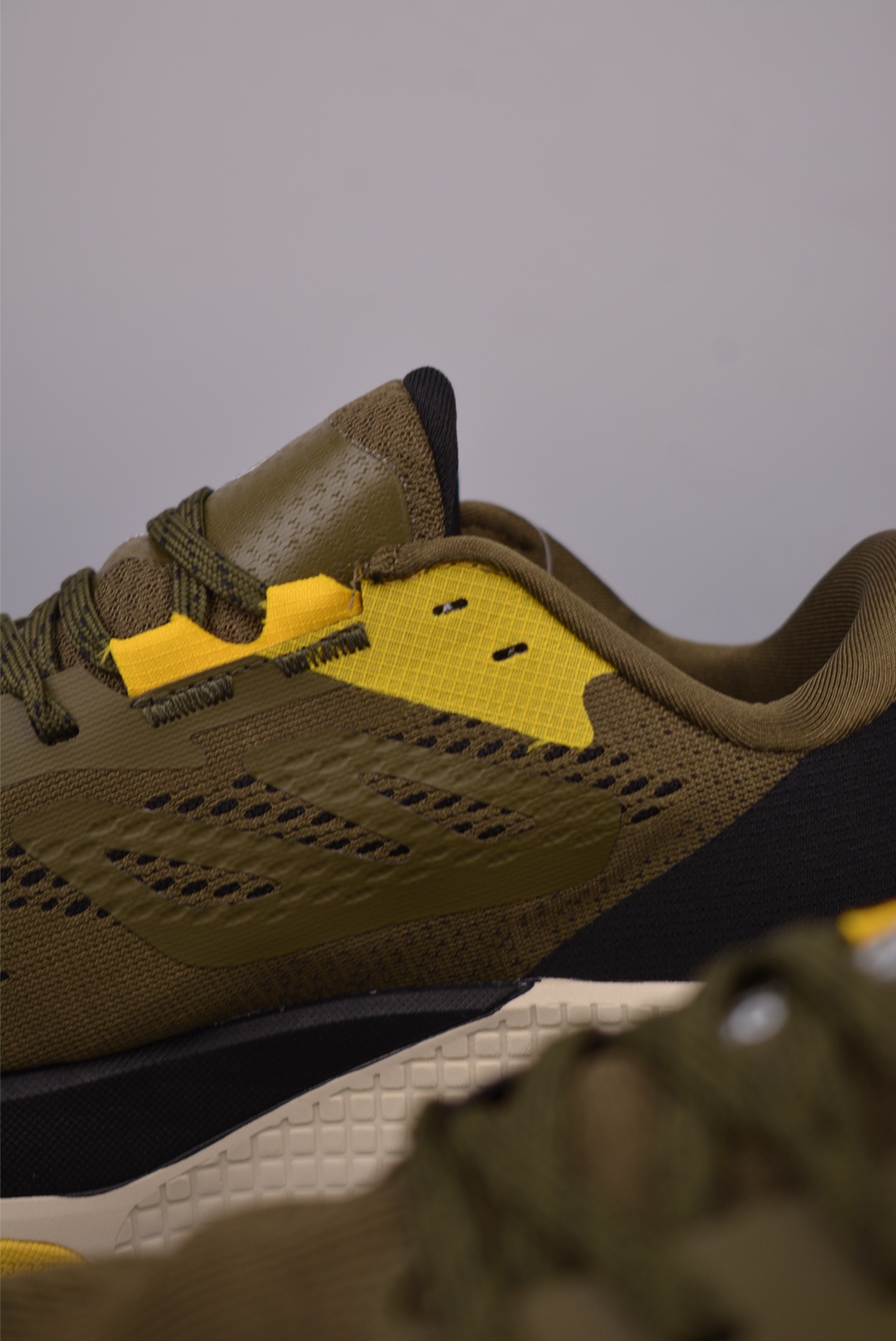 The North Face Altamesa 500 Hiking Shoes 