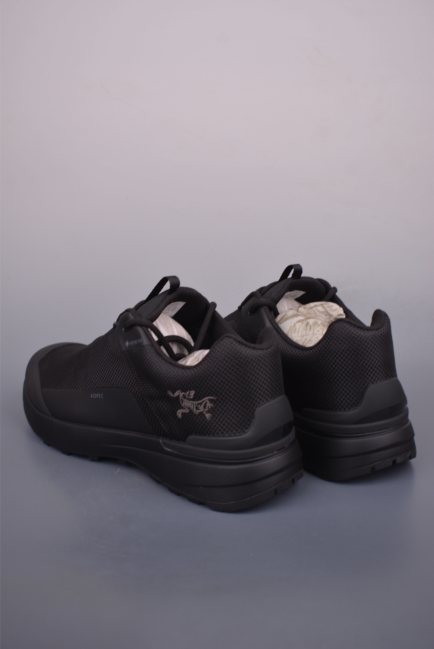 Arc'teryx NORVAN GTX sneakers 