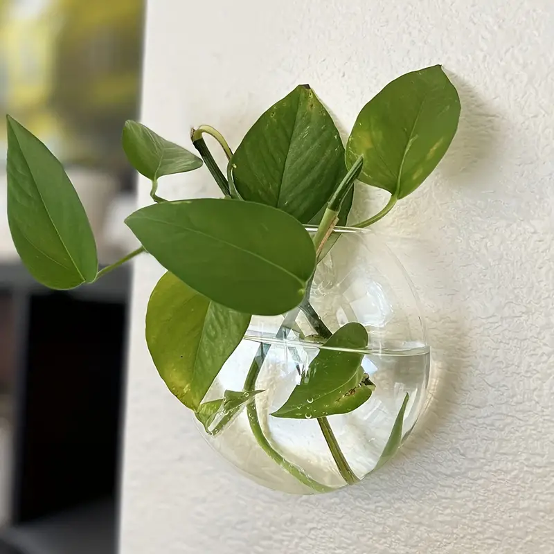 🌺🌺Creative Hanging Wall Glass Vase