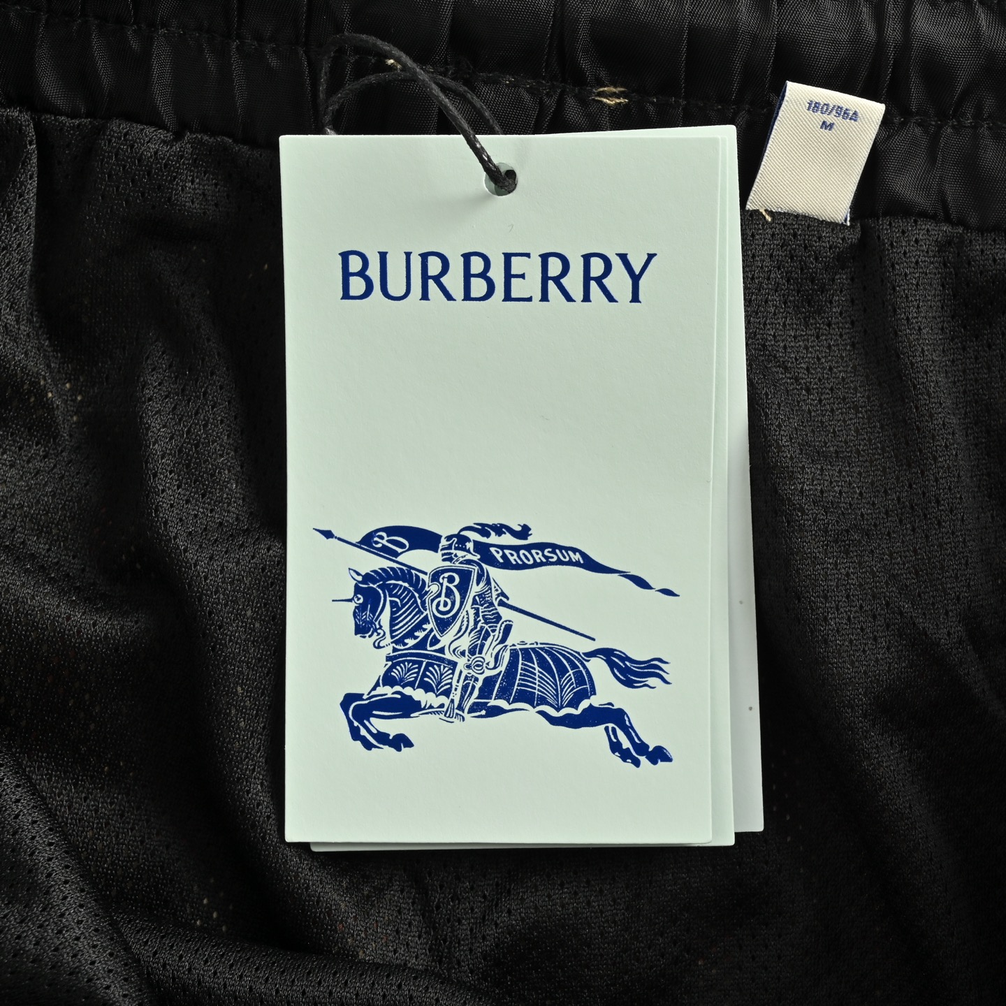Burberry 25ss side lettering check beach shorts