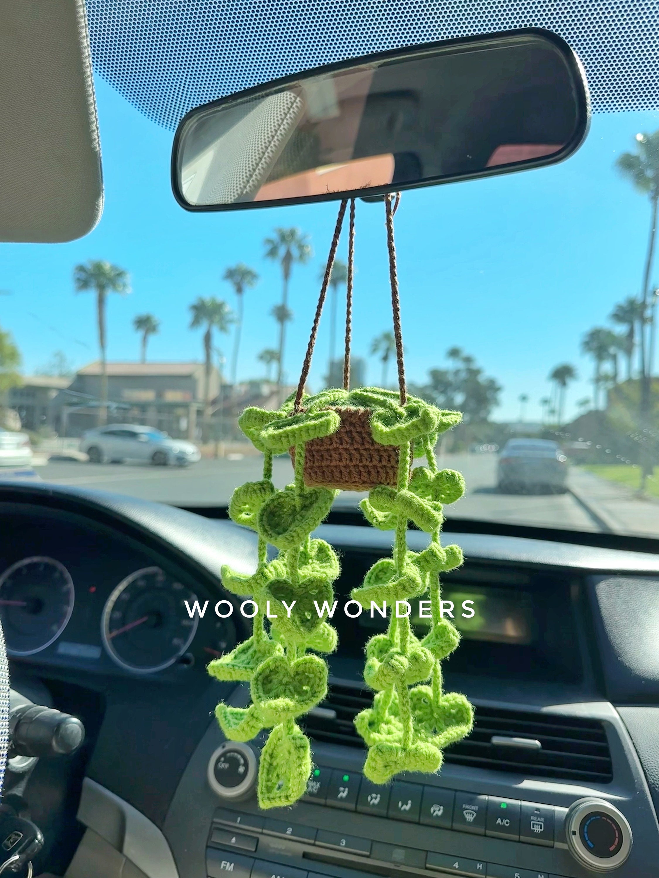 🌸Handcrafted Crochet Hanging Plants🌸