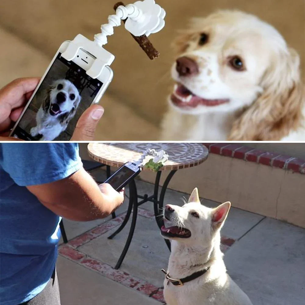 🔥Last Day Promotion - 50% OFF🔥Lovely pet selfie stick