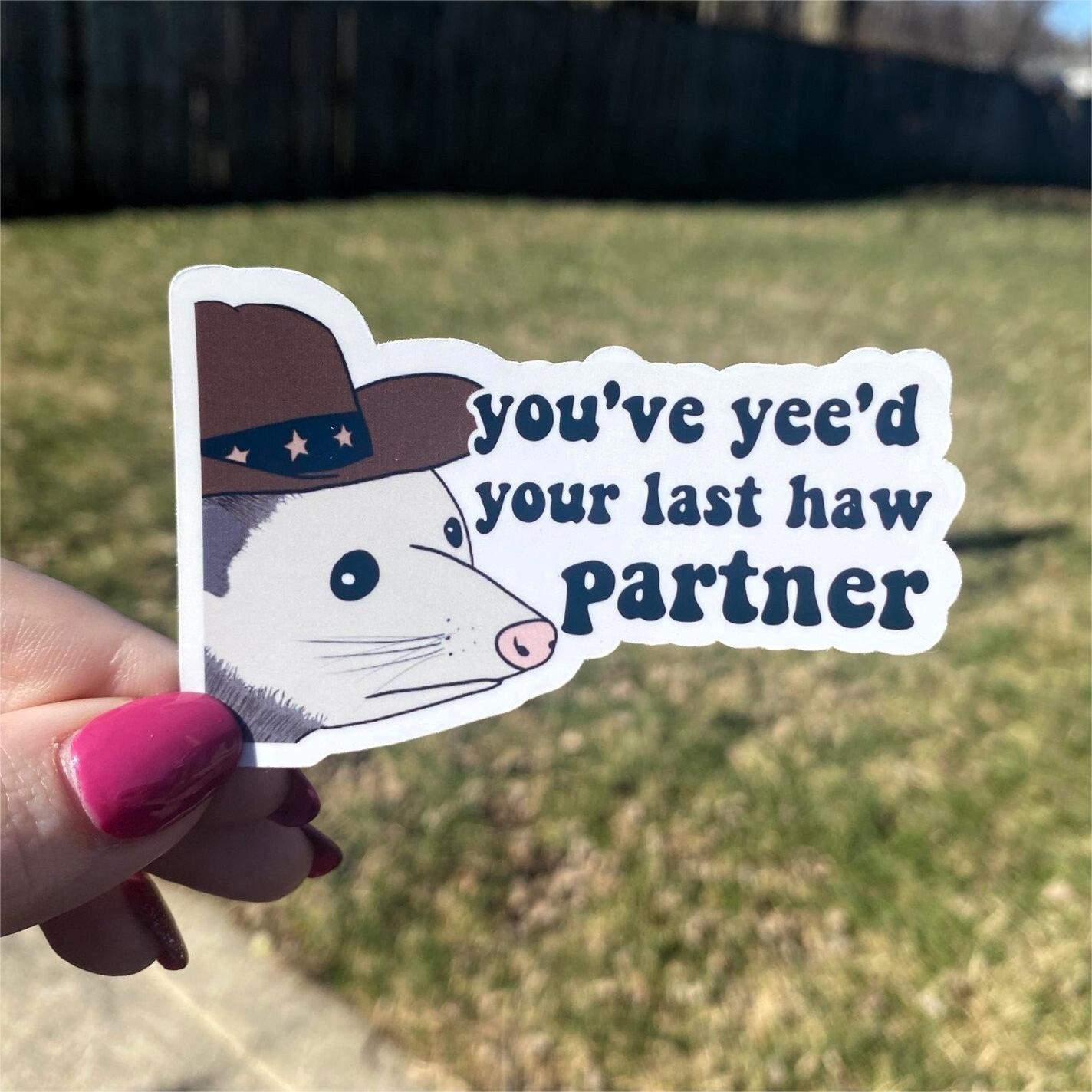 Funny Possum Sticker