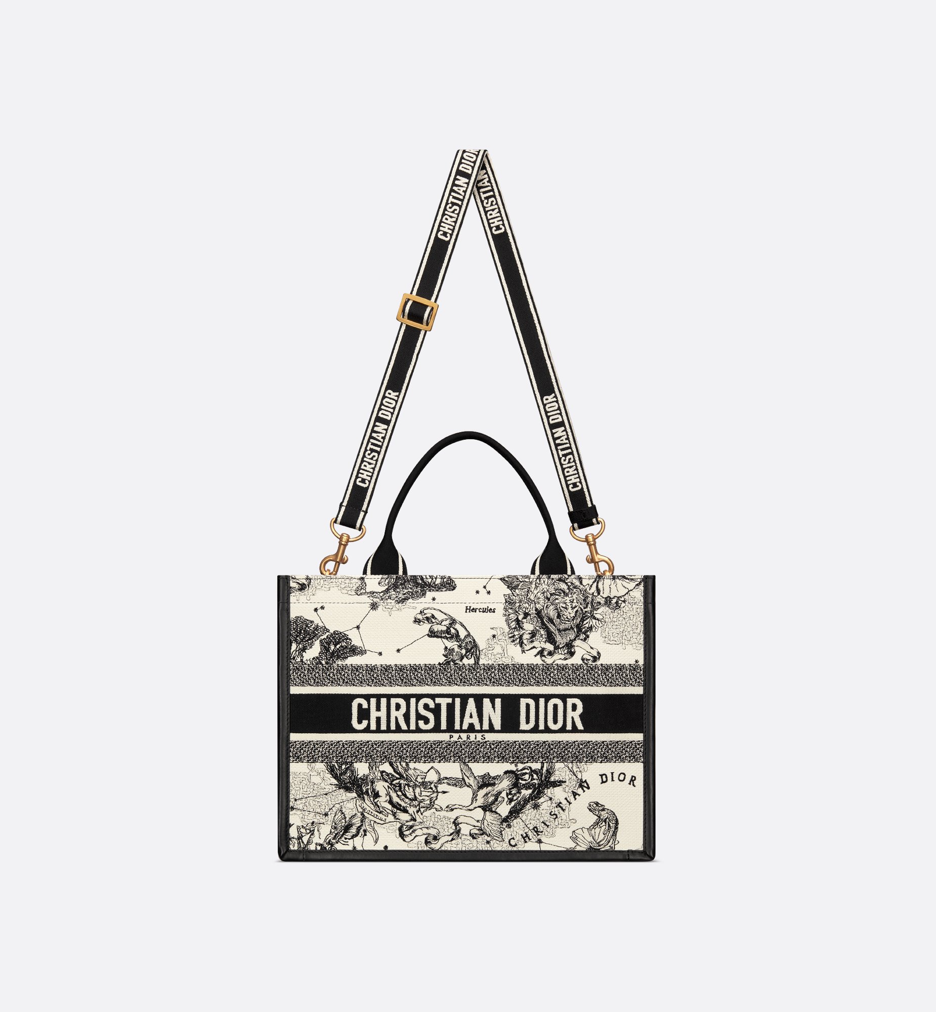 Dior Medium Book Tote Bag M1324CETW_M06E