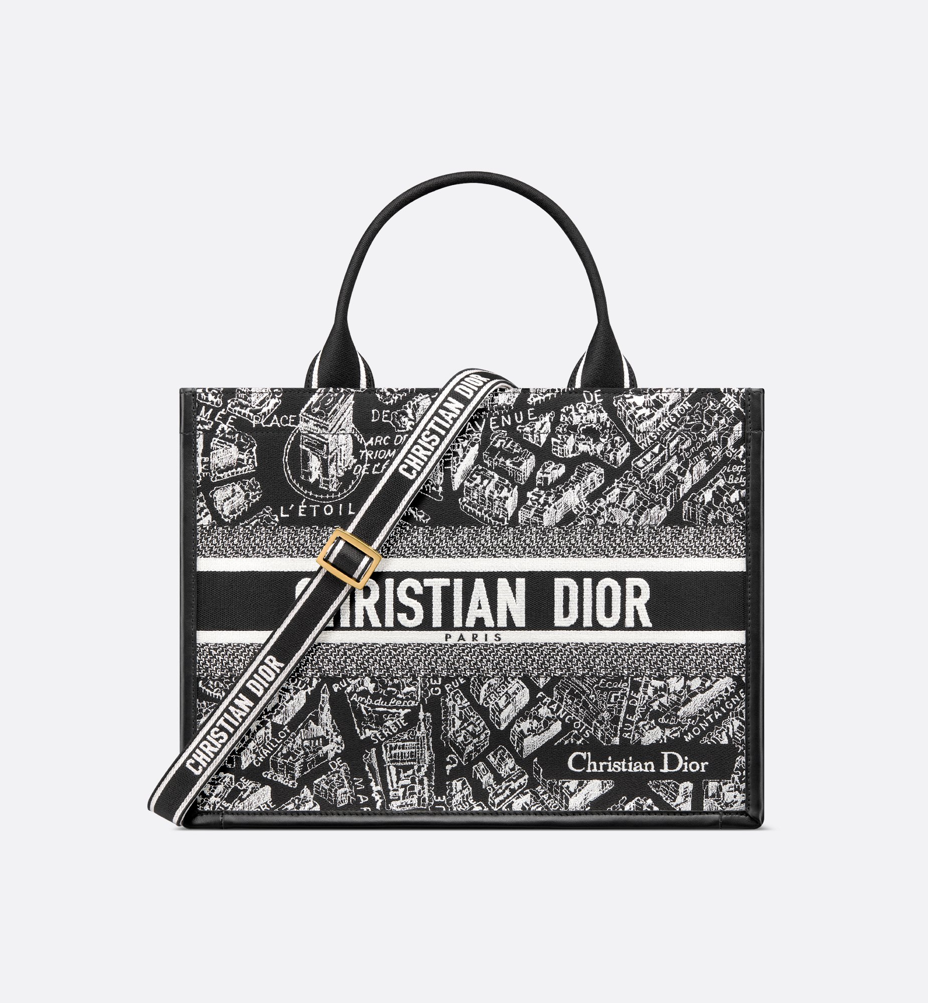 Dior Medium Book Tote Bag M1324CETJ_M46I