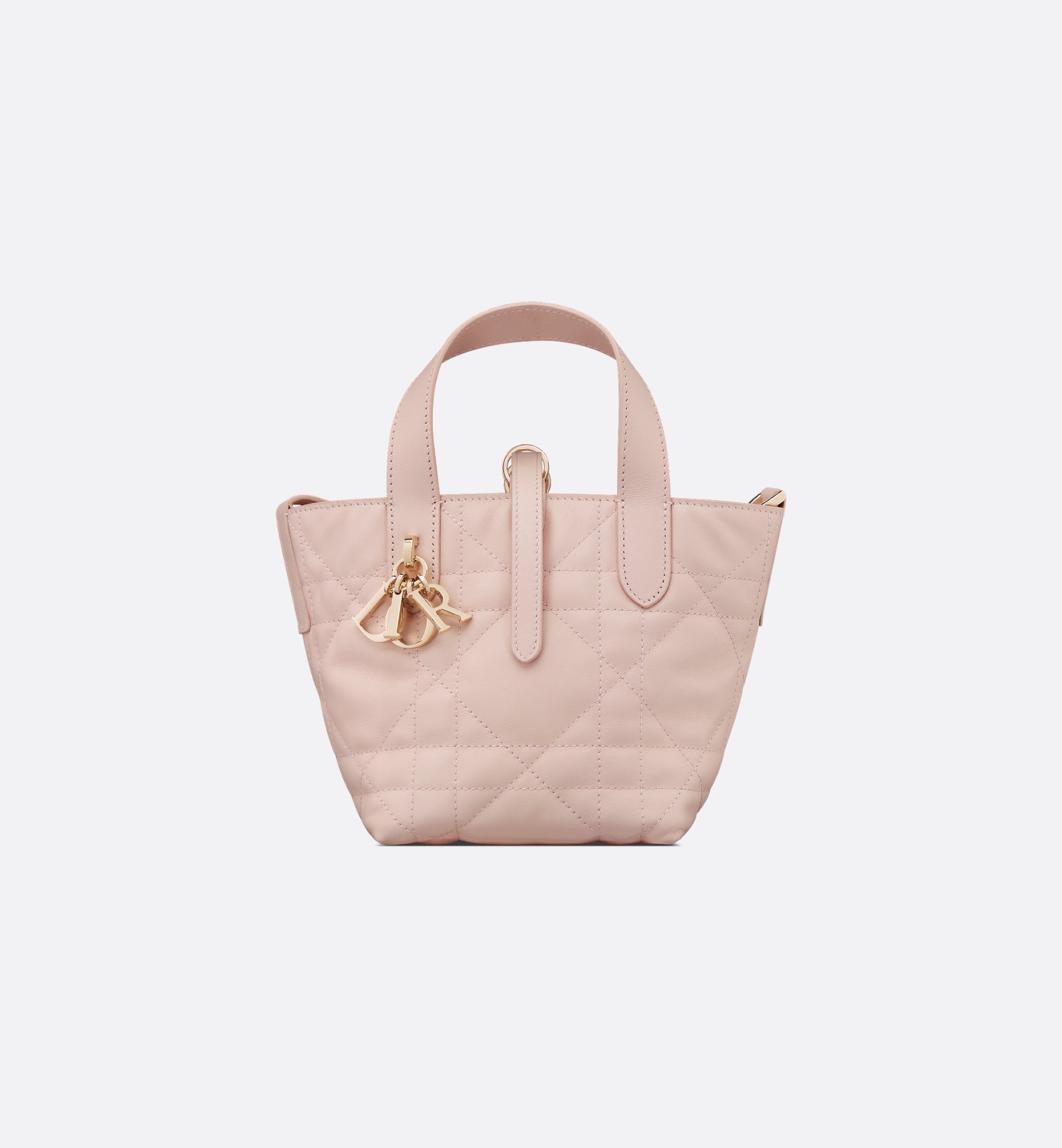 Dior Micro Dior Toujours Vertical Bag S6100OSNW_M413