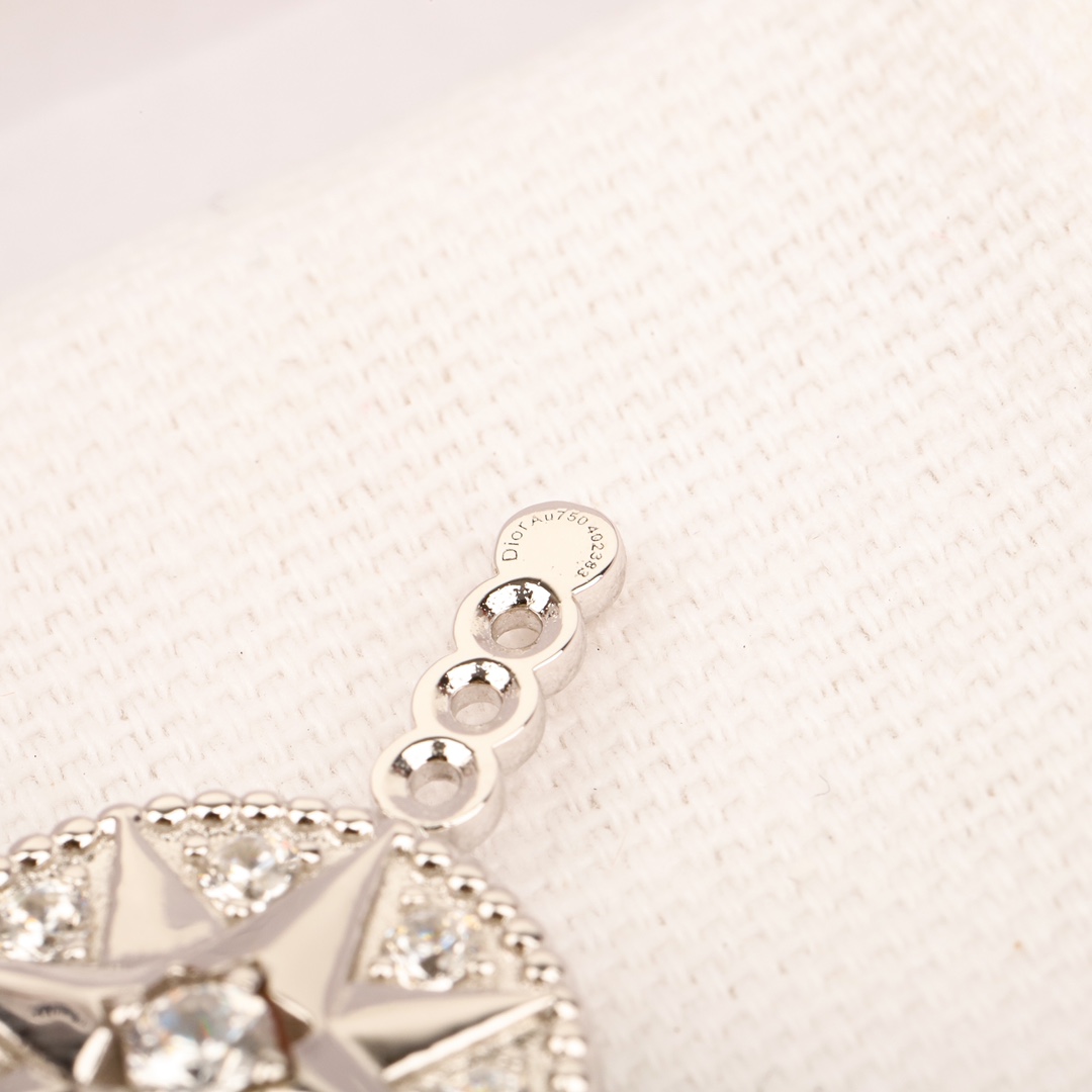 Dior Compass Earrings
