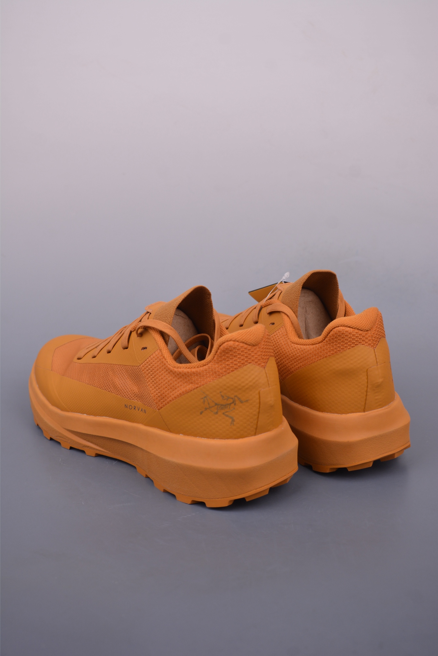Arc'teryx Norvan LD 4 