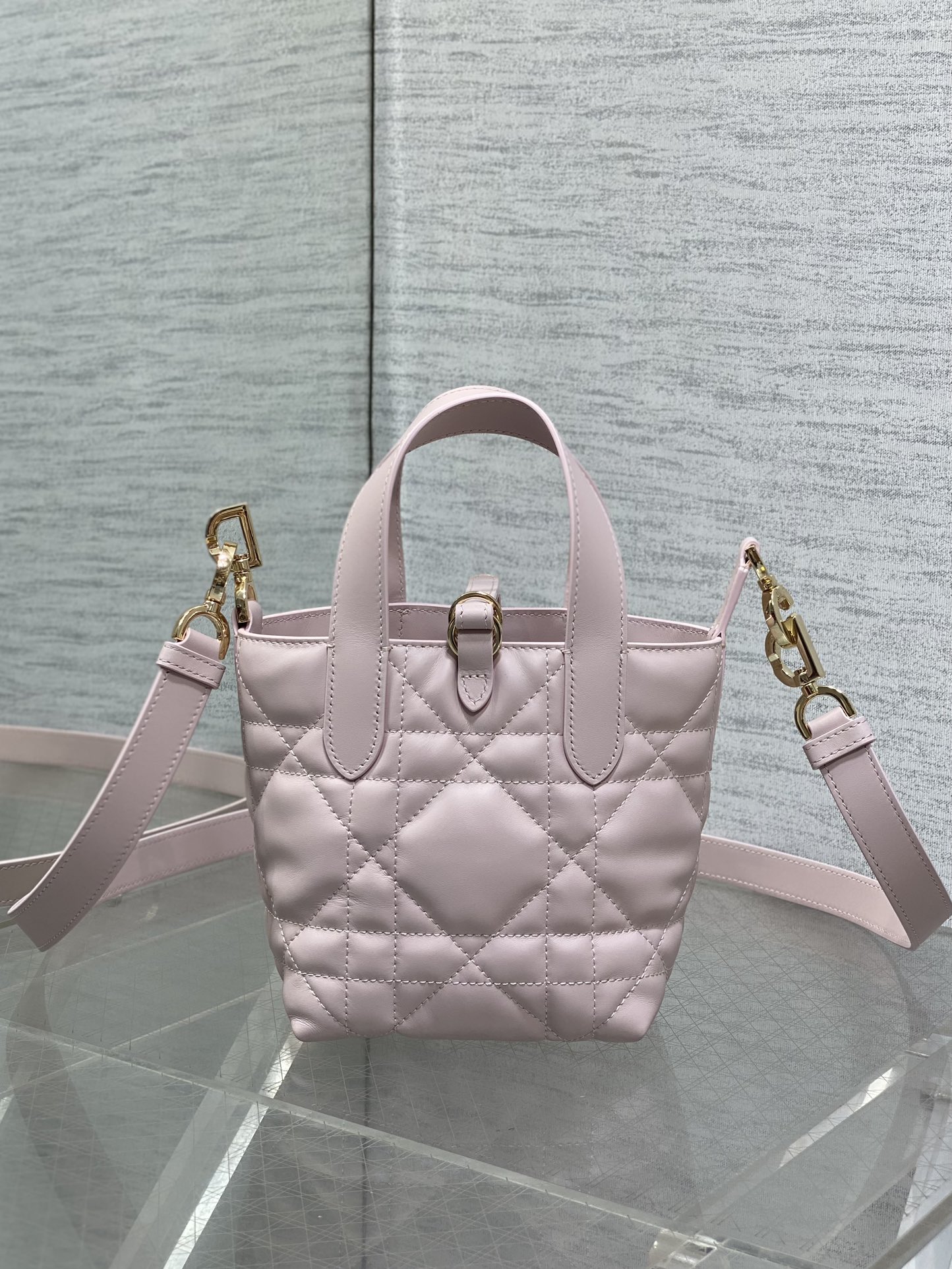 Dior Toujours vertical series mini