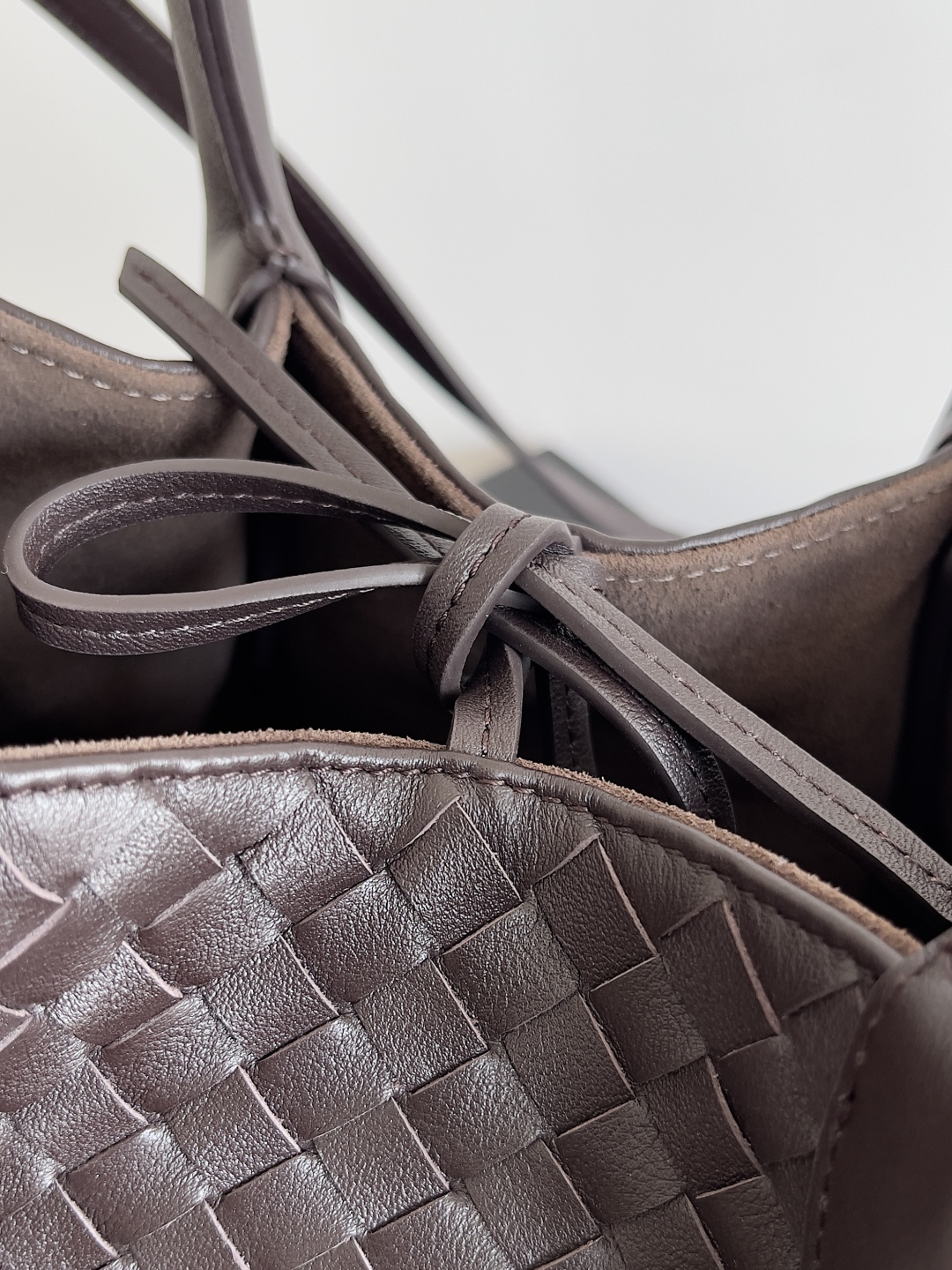 BOTTEGA VENETA 2025 PINACOTECA Small Bag 819004