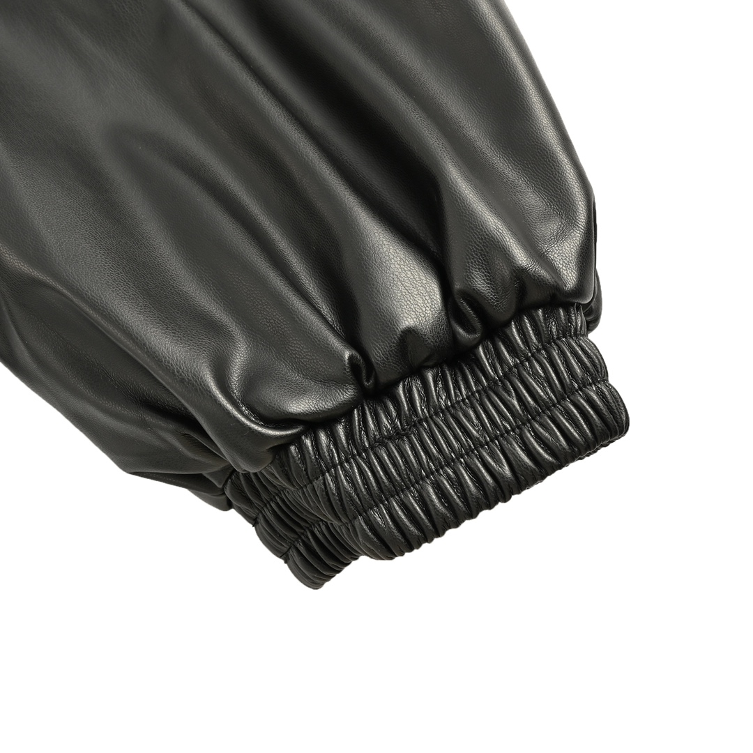 Balenciaga 24Fw embroidered leather stand collar jacket