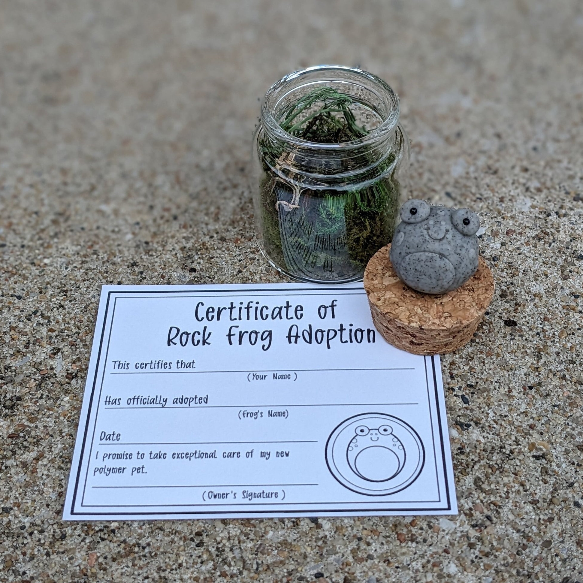 On Sale🔥Adopt A Rock Pet