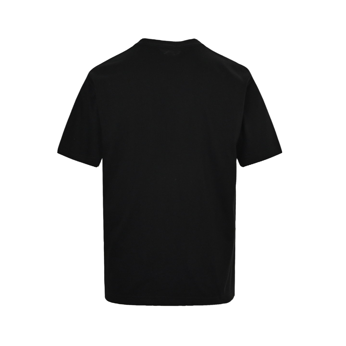 Loewe 23ss Guinea fowl embroidered short sleeve